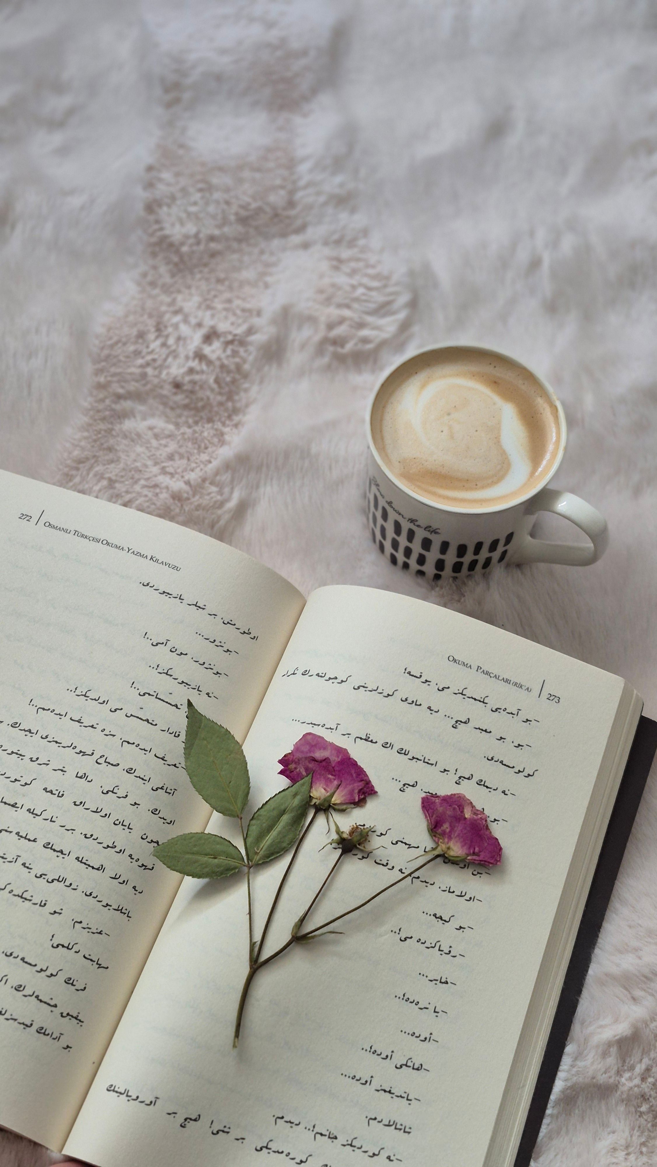 photos-download-the-best-free-stock-photos