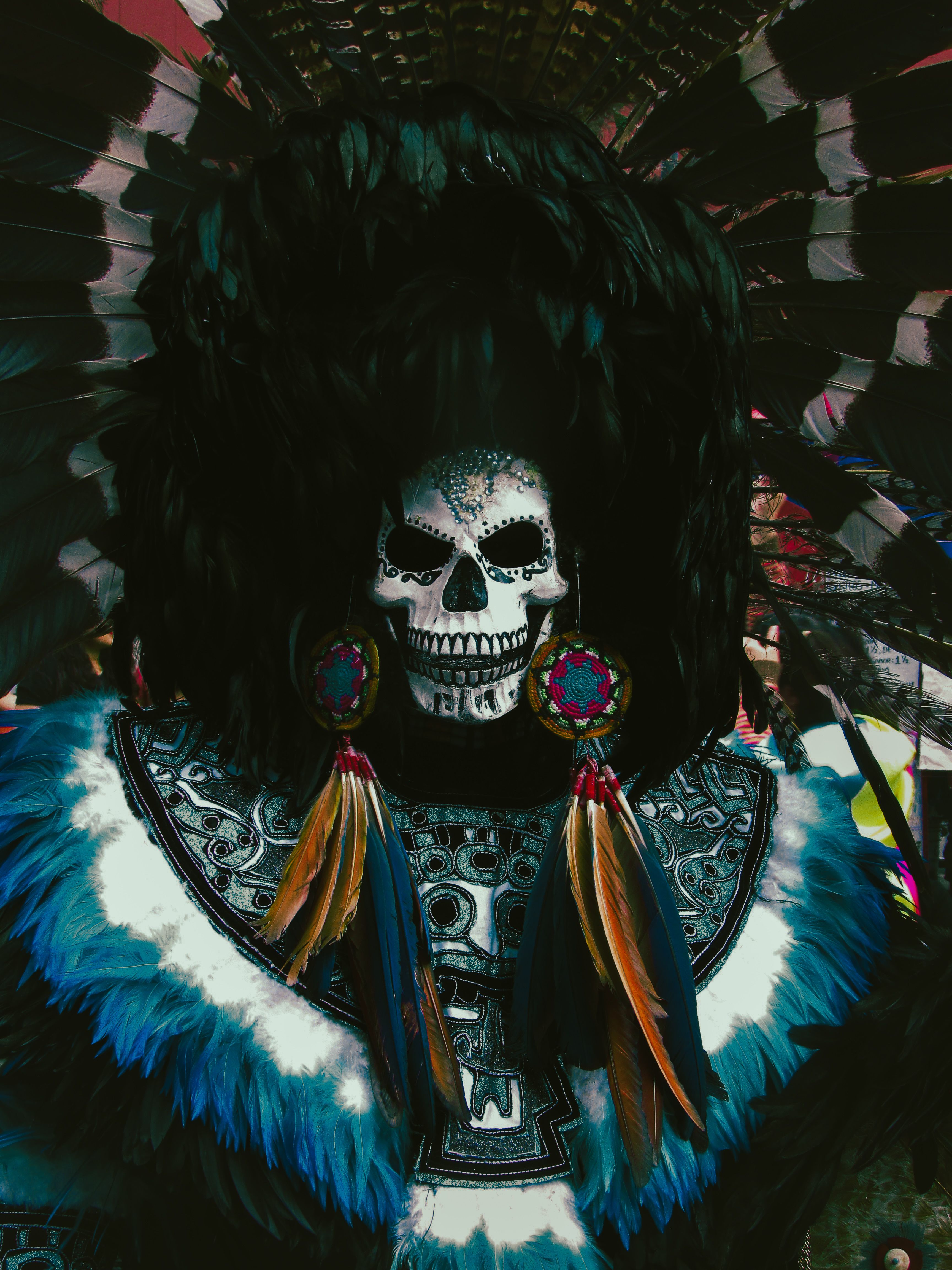 Elaborate Feathered Mask Celebrating Diversity · Free Stock Photo