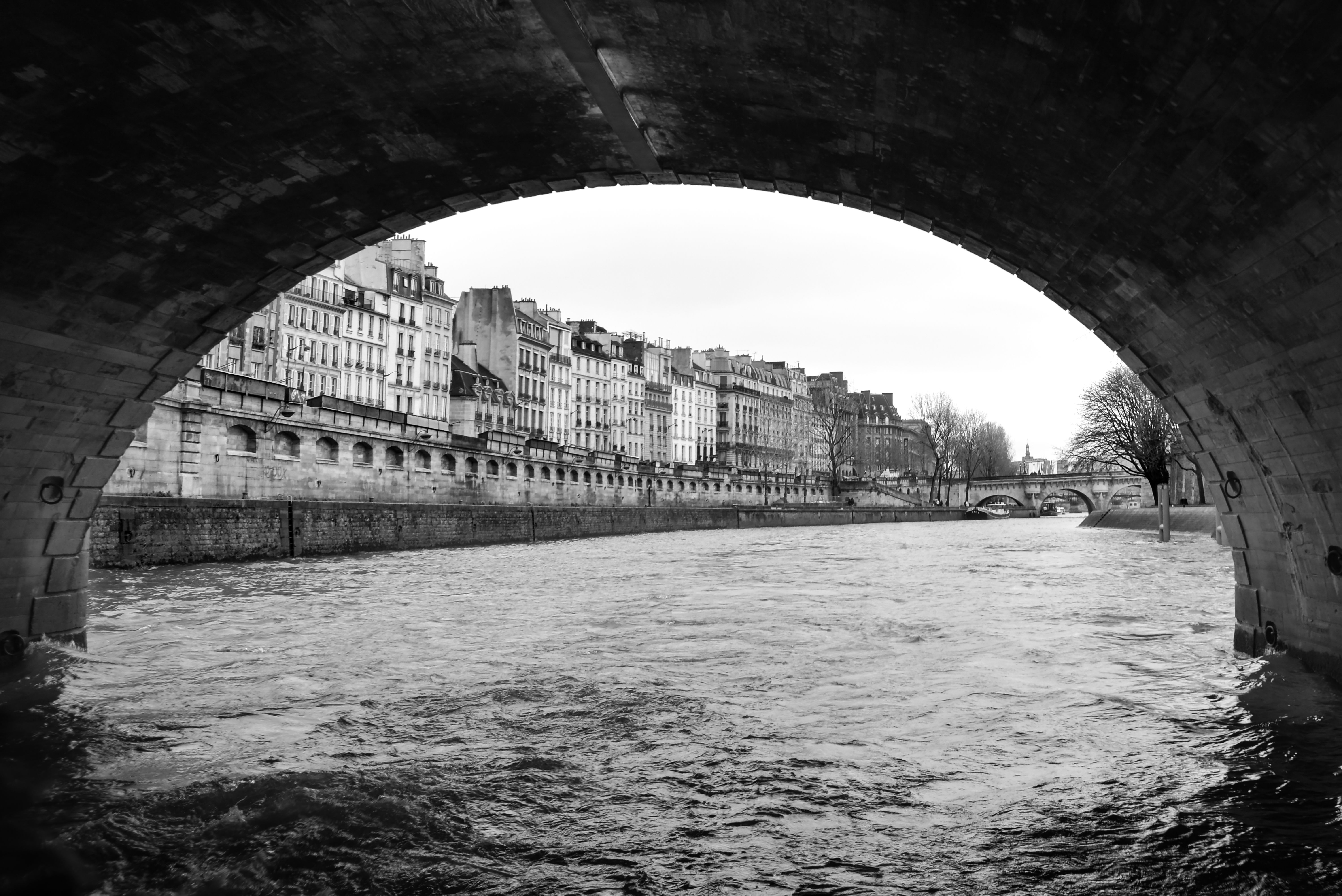 Scenic black and white view of River Seine and historic Parisian buildings from under a bridge.