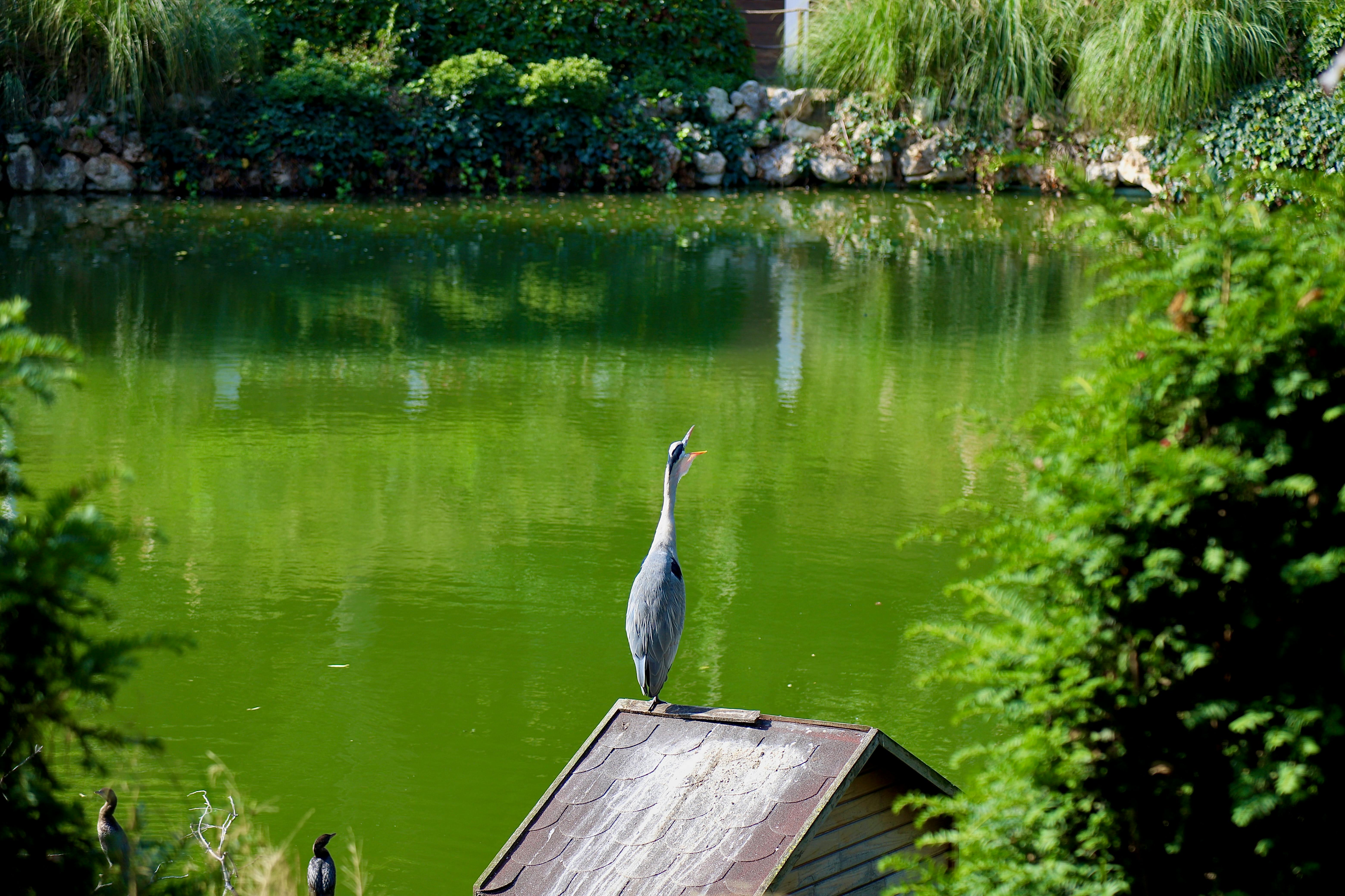 Revolutionary Biodegradable Polymers to Save Oceans