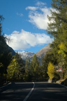 A picturesque autumn road through Lombardia's Alps with vibrant foliage and clear skies.