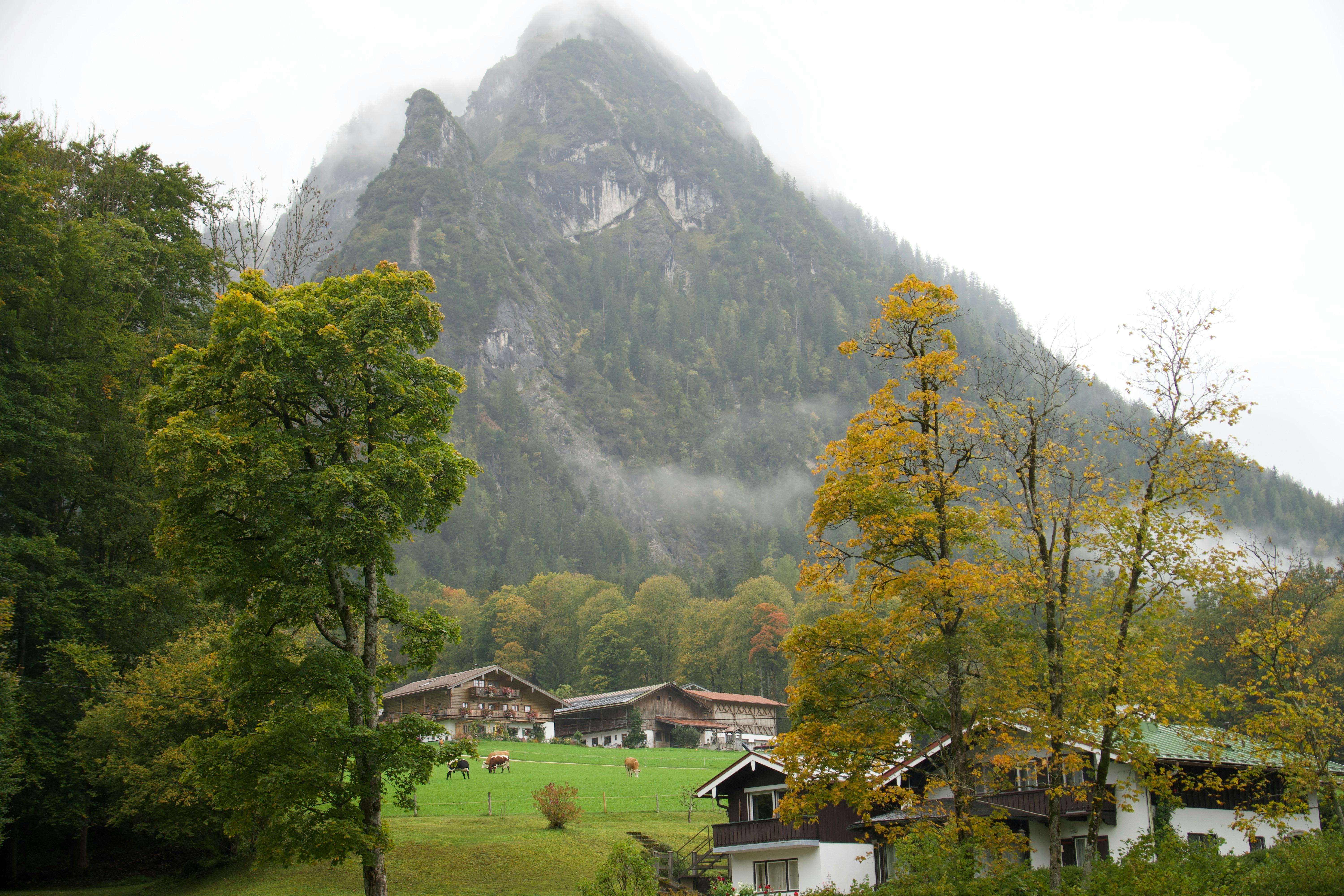 The Ultimate Guide to Subconscious Influence