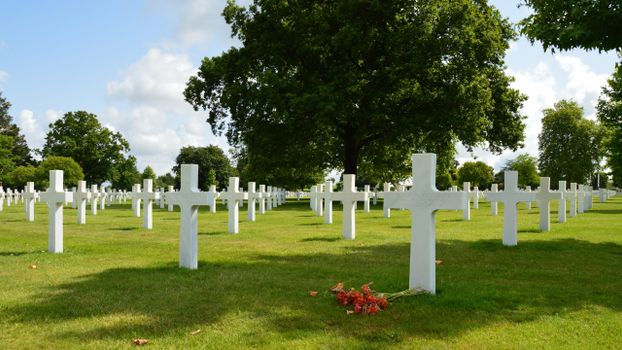 Graceful military cemetery with white crosses and lush greenery in Normandie, France.