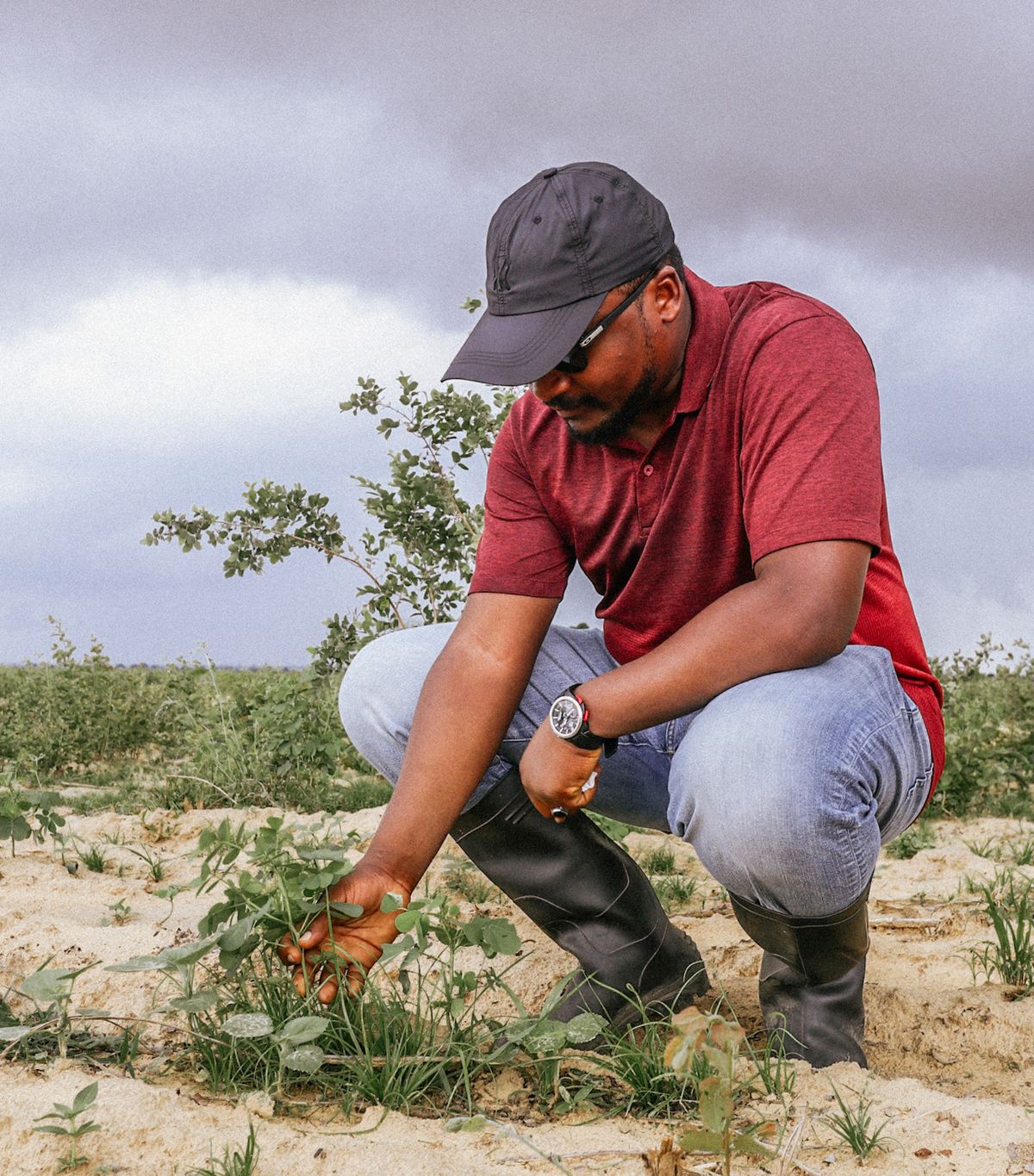 Agricultural farming