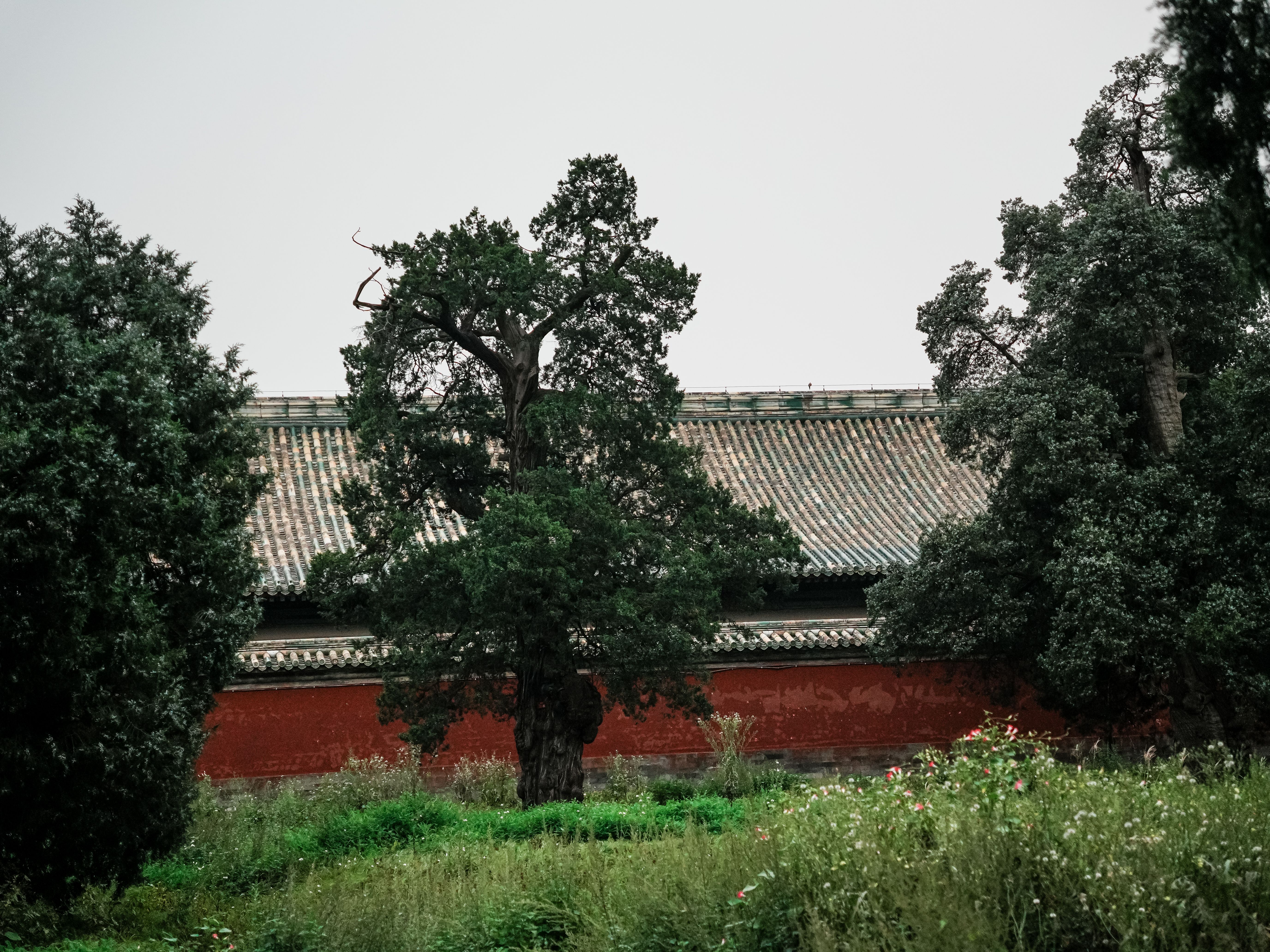 China Honeymoon Guide 2026: Romantic Destinations, Luxury Hotels & Itineraries