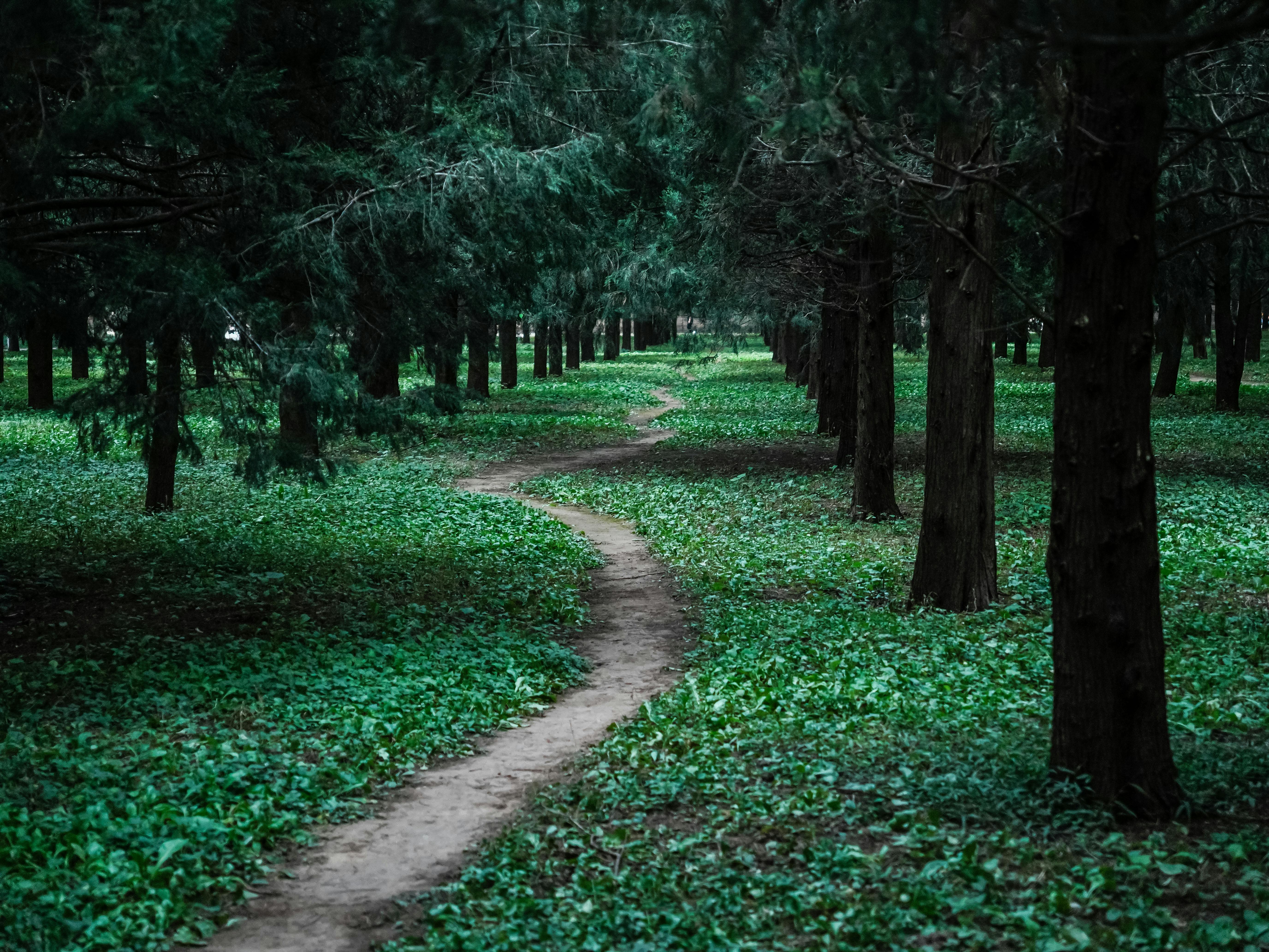 The lifelong journey of personal development - Meer — Photo by Da Na on Pexels