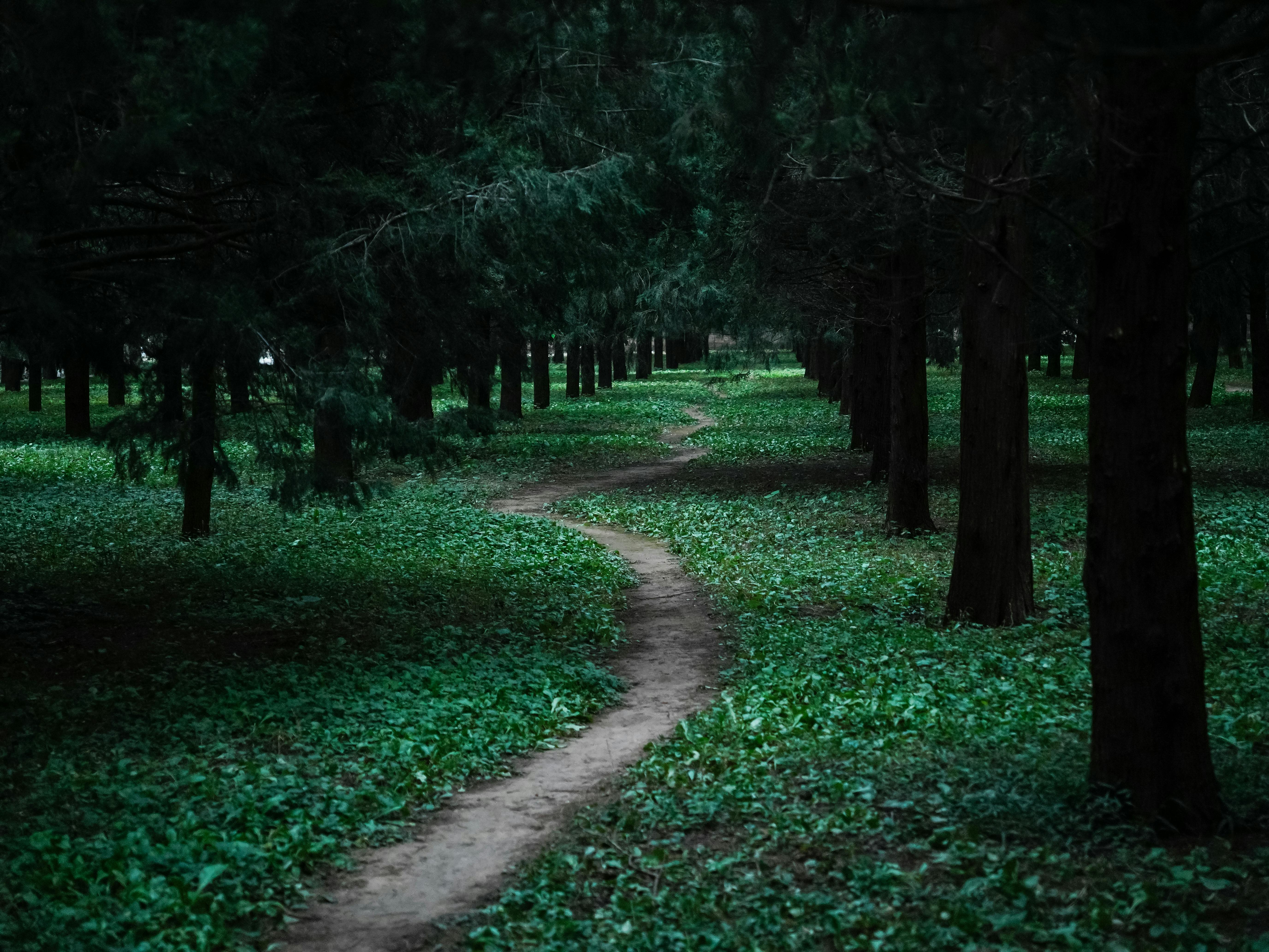 The lifelong journey of personal development - Meer — Photo by Da Na on Pexels
