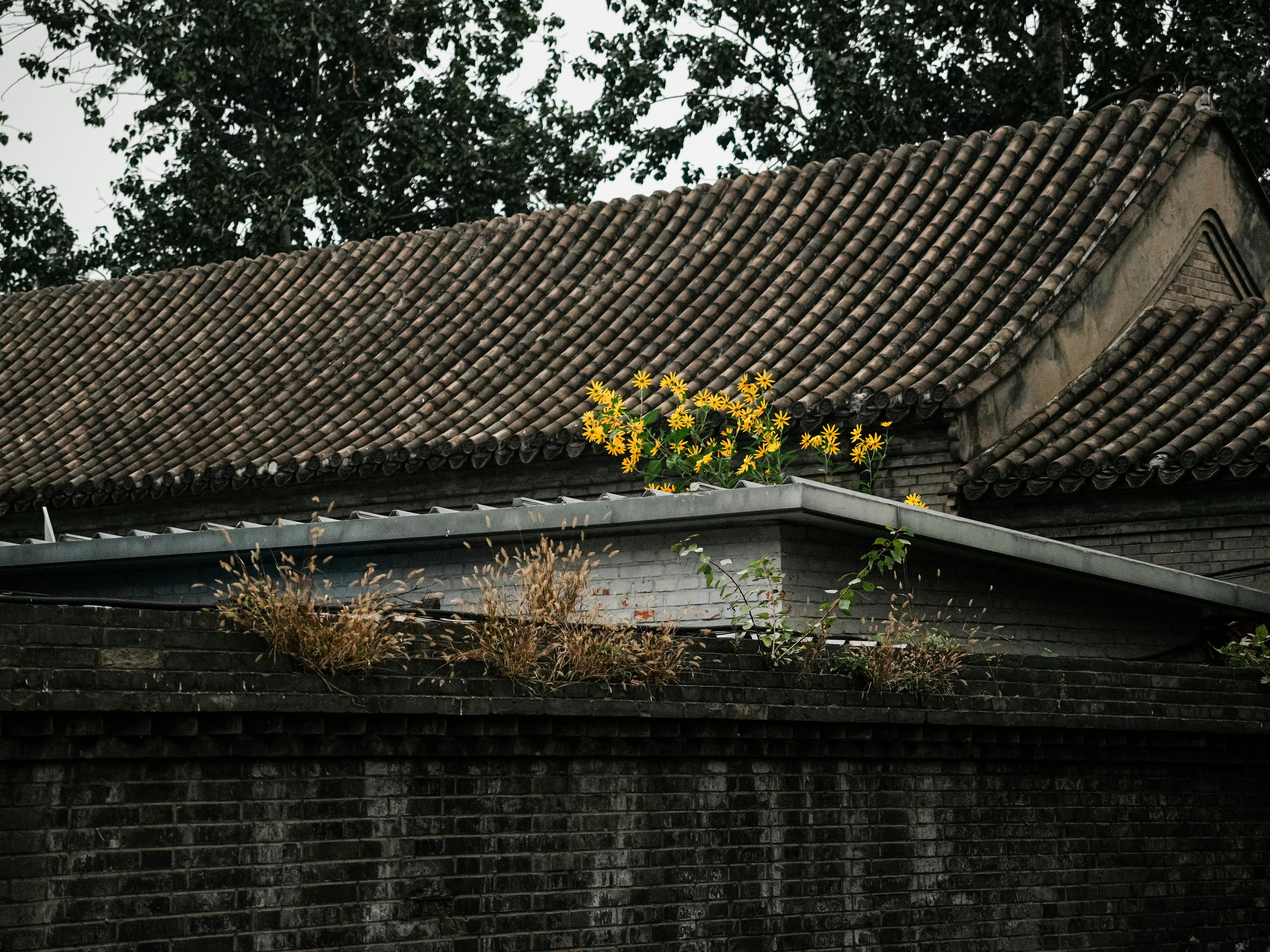 Environmental and Cultural Significance