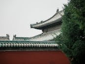Traditional Chinese Temple Roof Amidst Lush Foliage