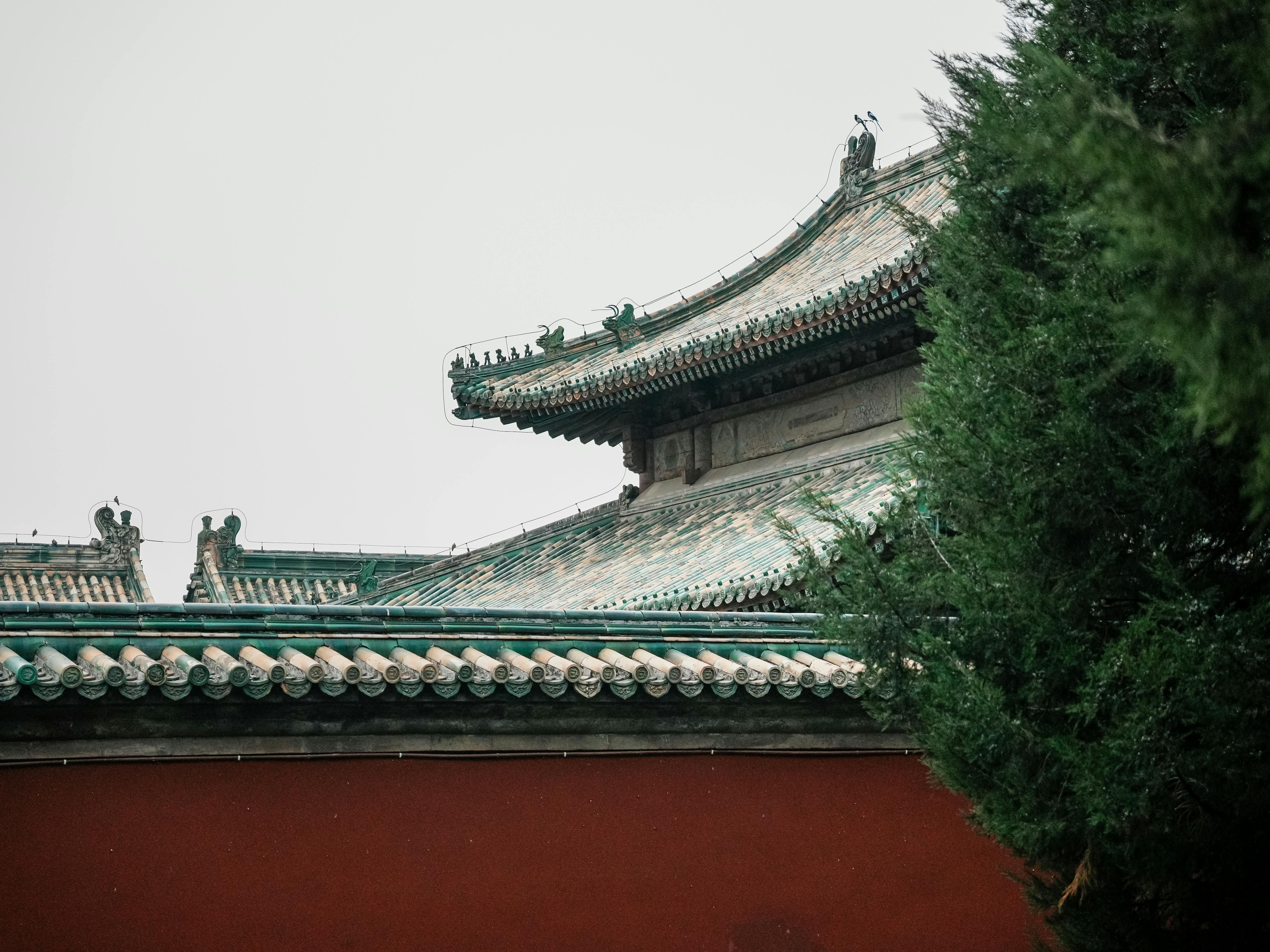 Traditional Chinese Temple Roof Amidst Lush Foliage