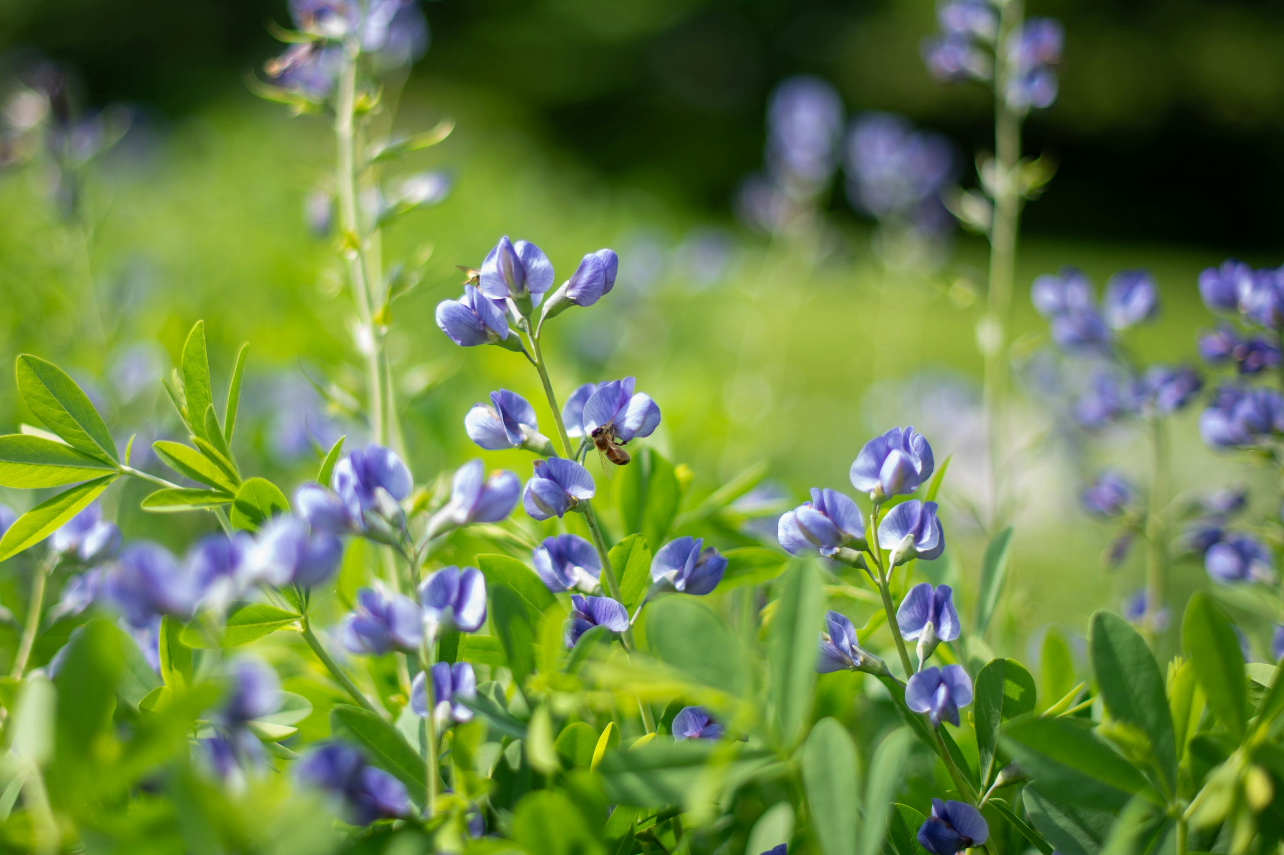 財經：智通ADR統計解析：10月24日港股表現一覽