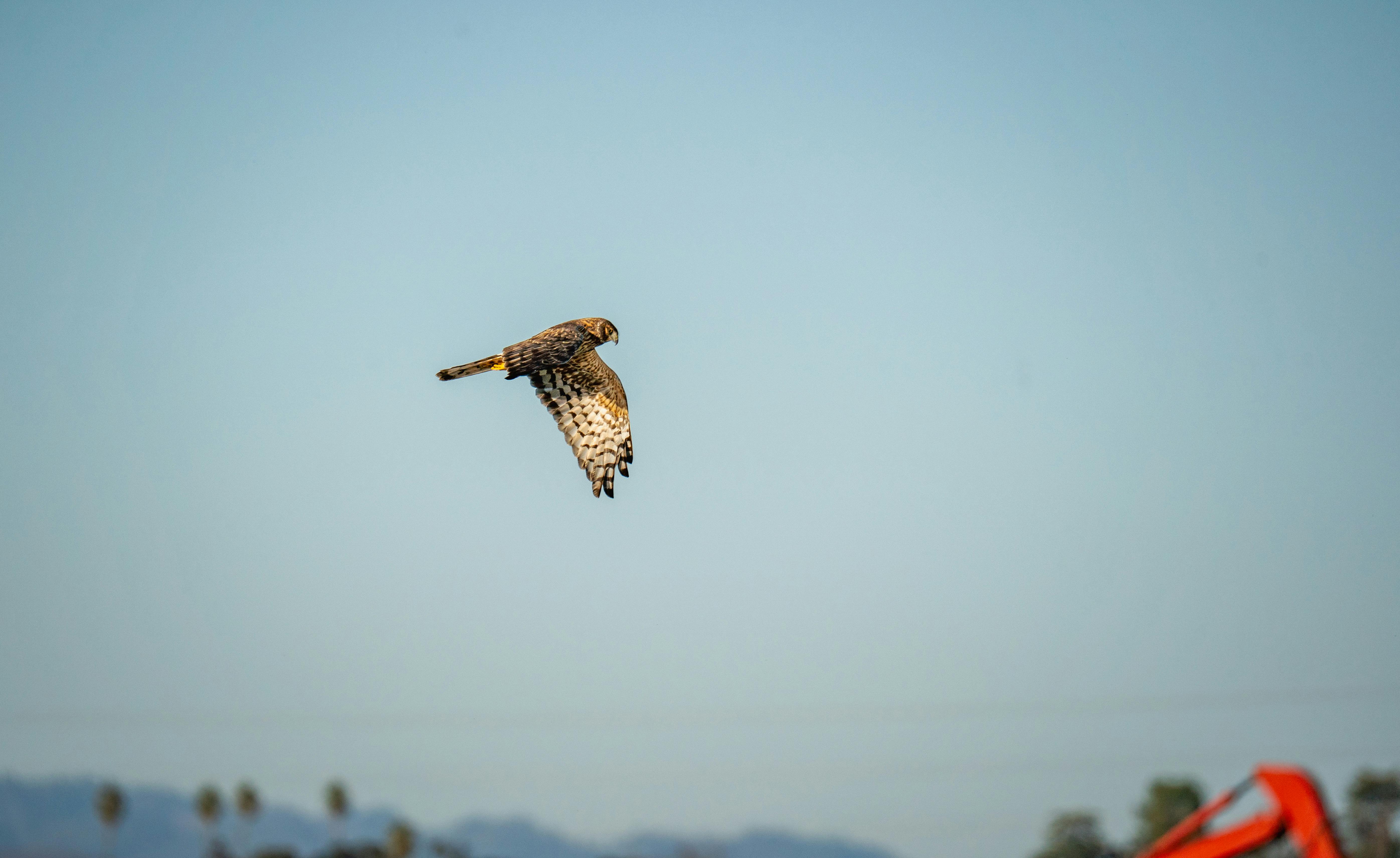 Lokasyon Seçiminde Dikkat Edilmesi Gereken 5 Kriter: Satılık Dairede Hangi Özellikler Öne Çıkıyor?