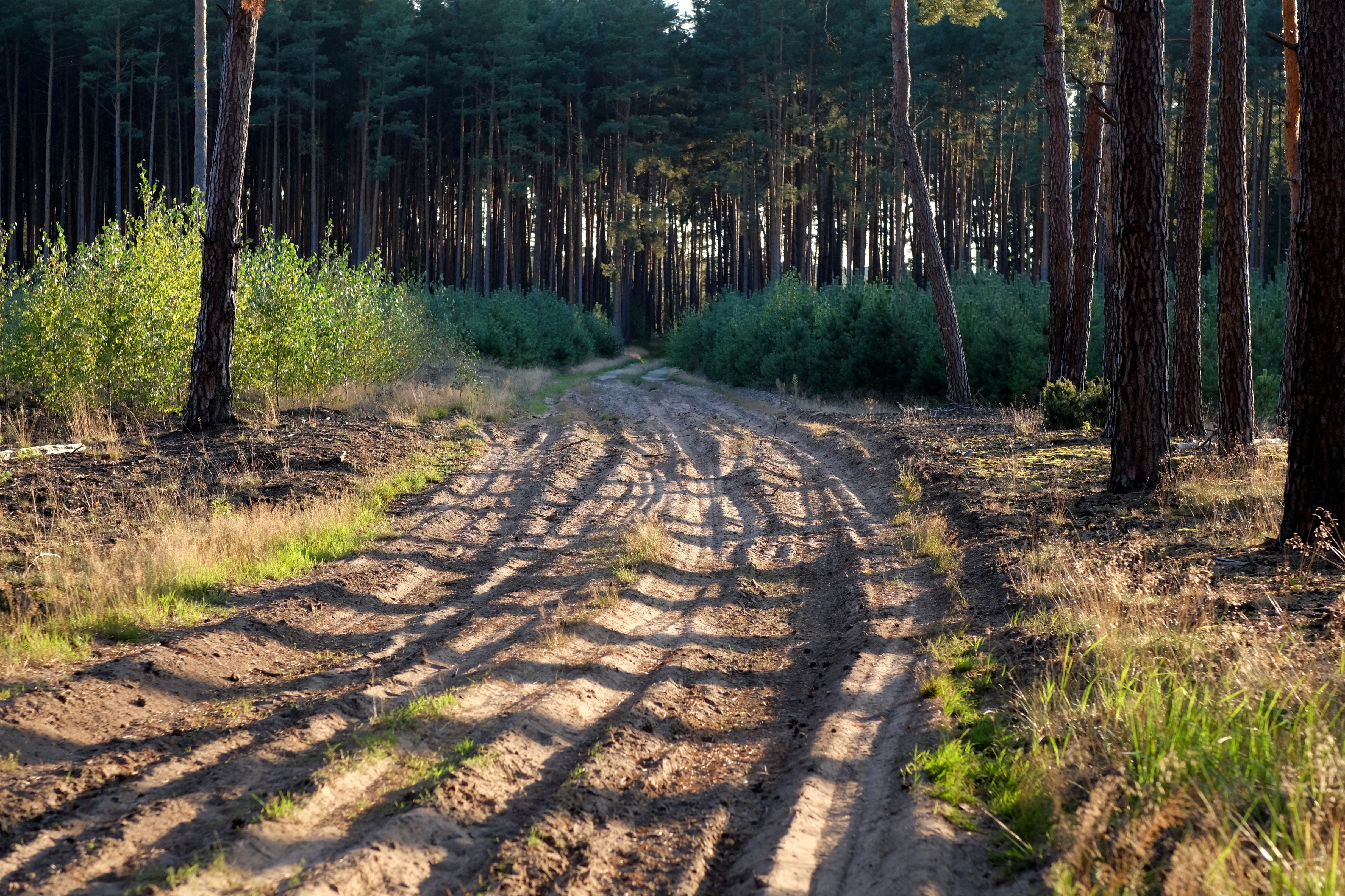 Best ATV Trails in Oregon