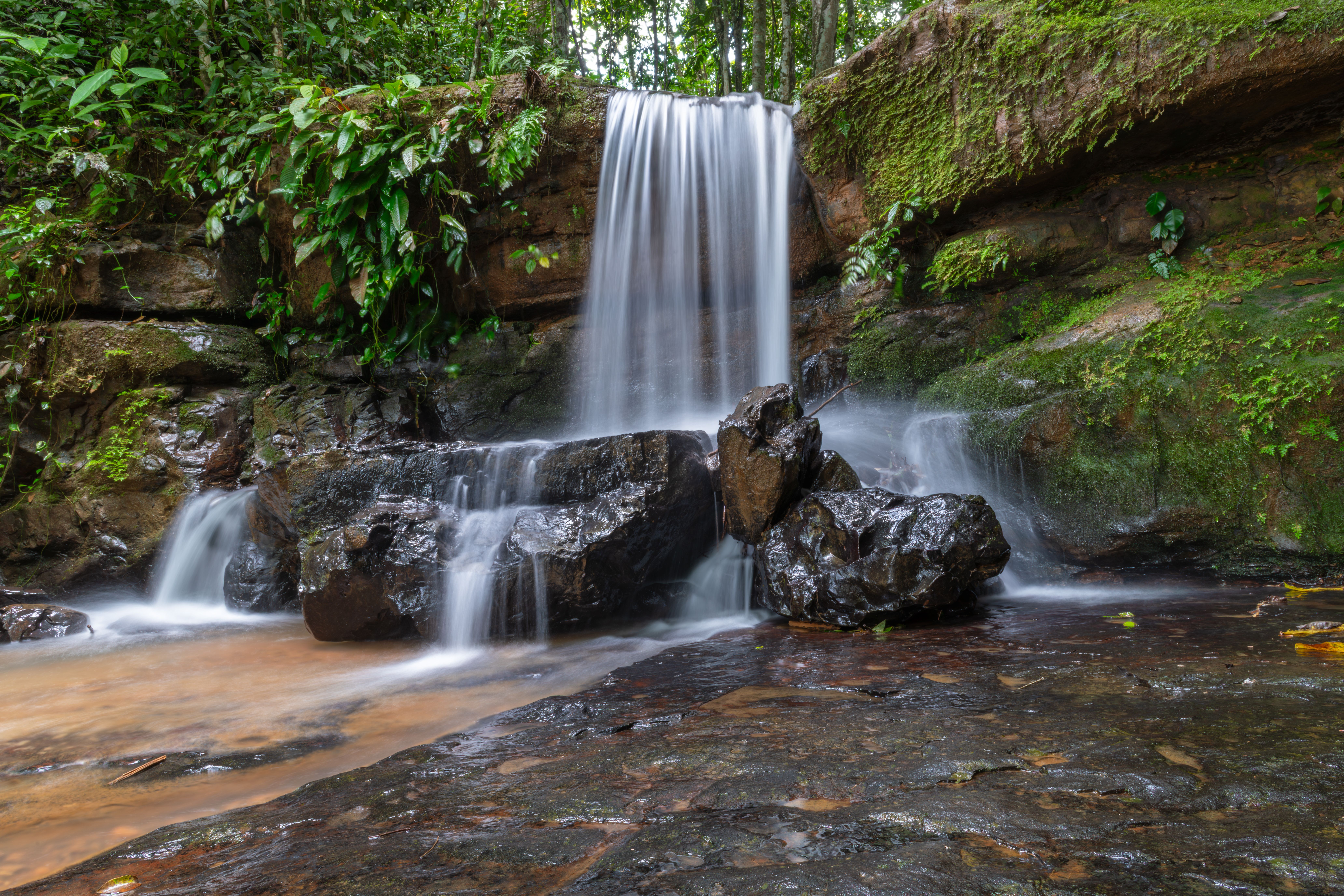 Cascade tombant à travers une jungle dense sur un sentier de randonnée près de Puerto Escondido