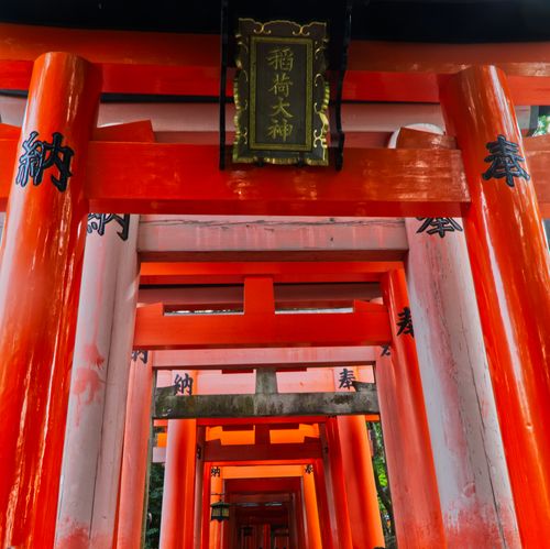 Free Explore the iconic bright red Torii gates of Fushimi Inari Shrine in Kyoto, Japan, a cultural landmark. Stock Photo
