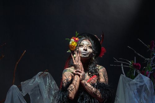 Free Vibrant portrait of a Catrina with traditional makeup and floral headpiece, embracing Día de Muertos culture. Stock Photo