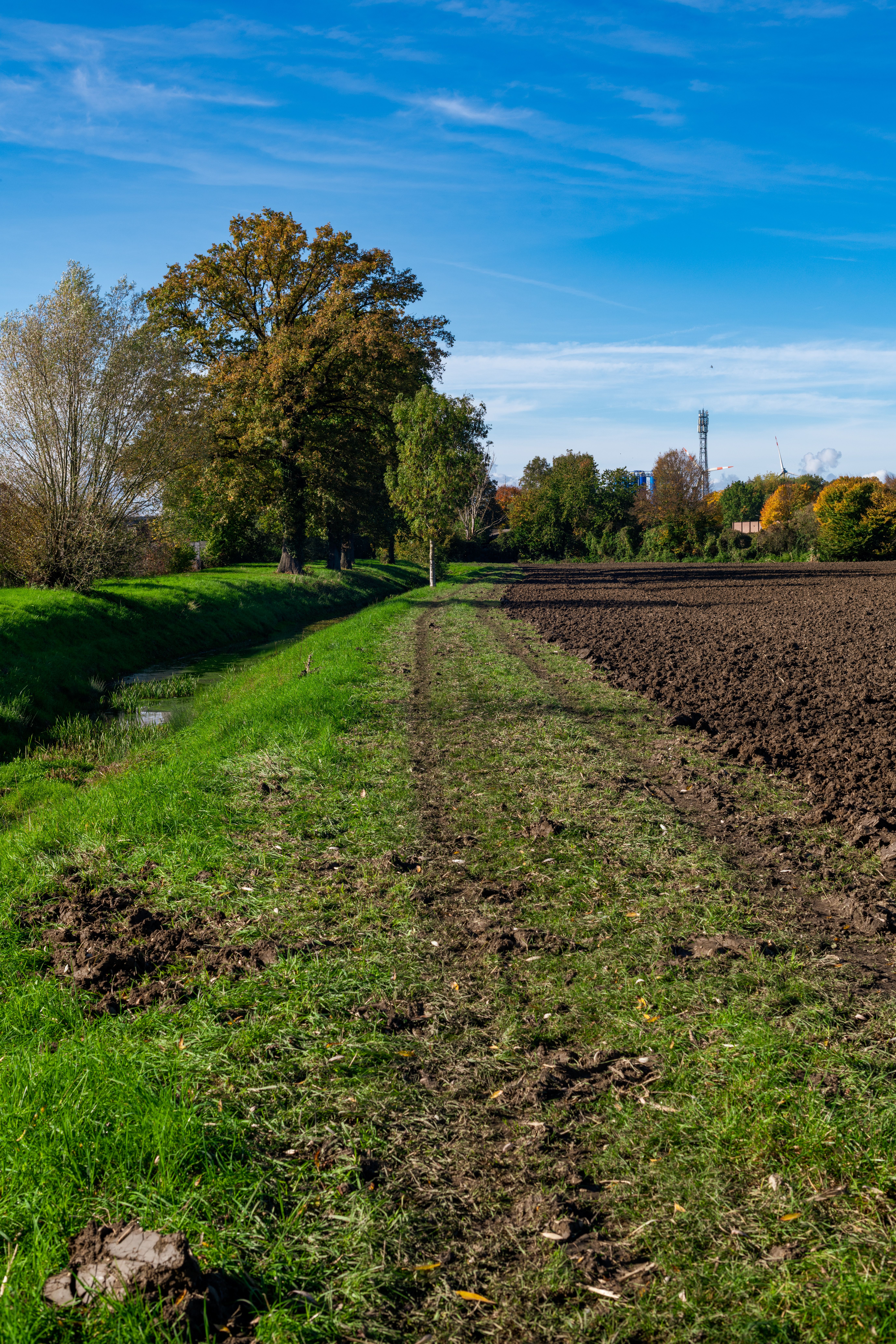 Rural Path Through Green Meadows and Farmland · Free Stock Photo