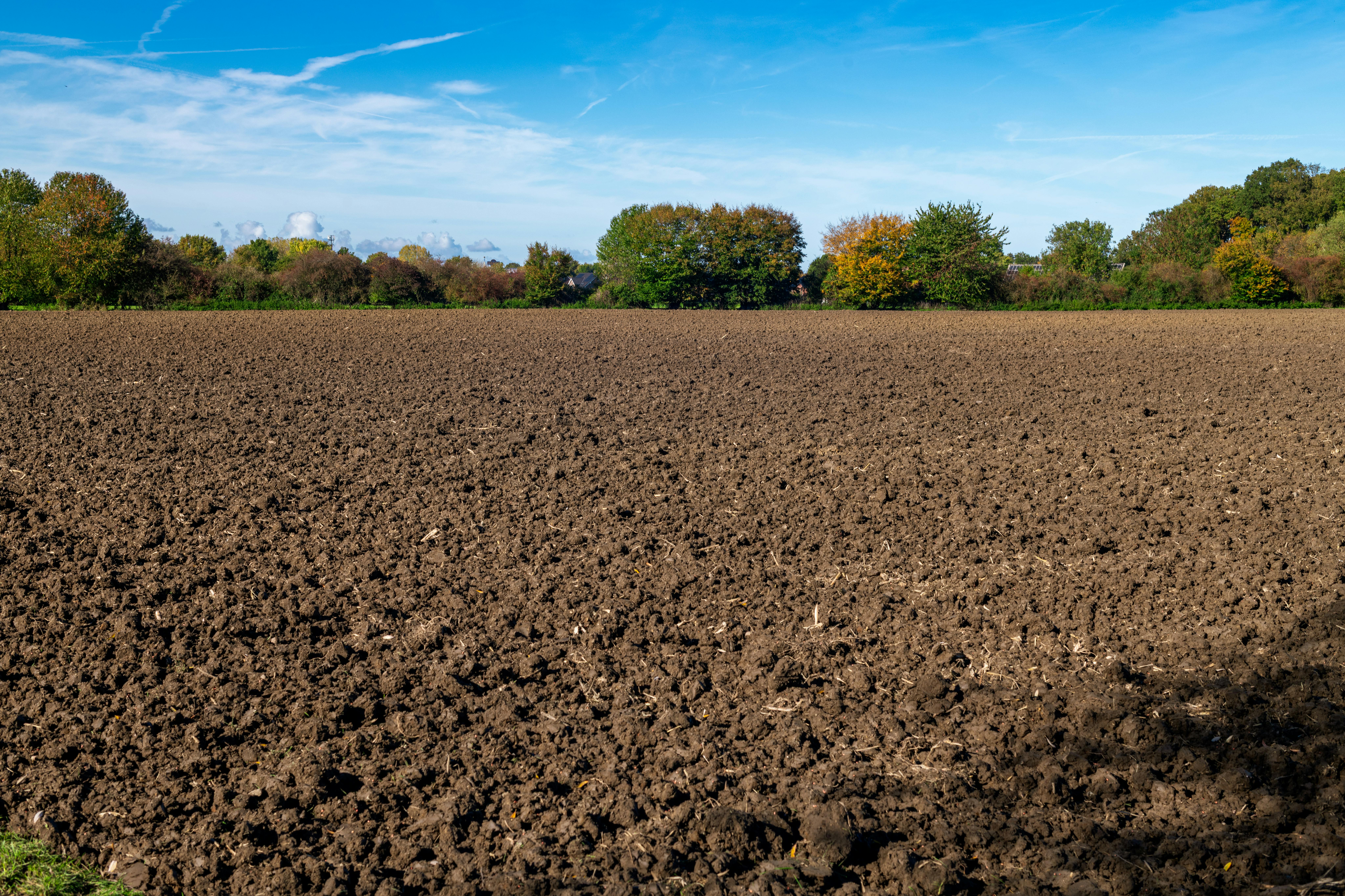 Benefits of Drain Field Restoration