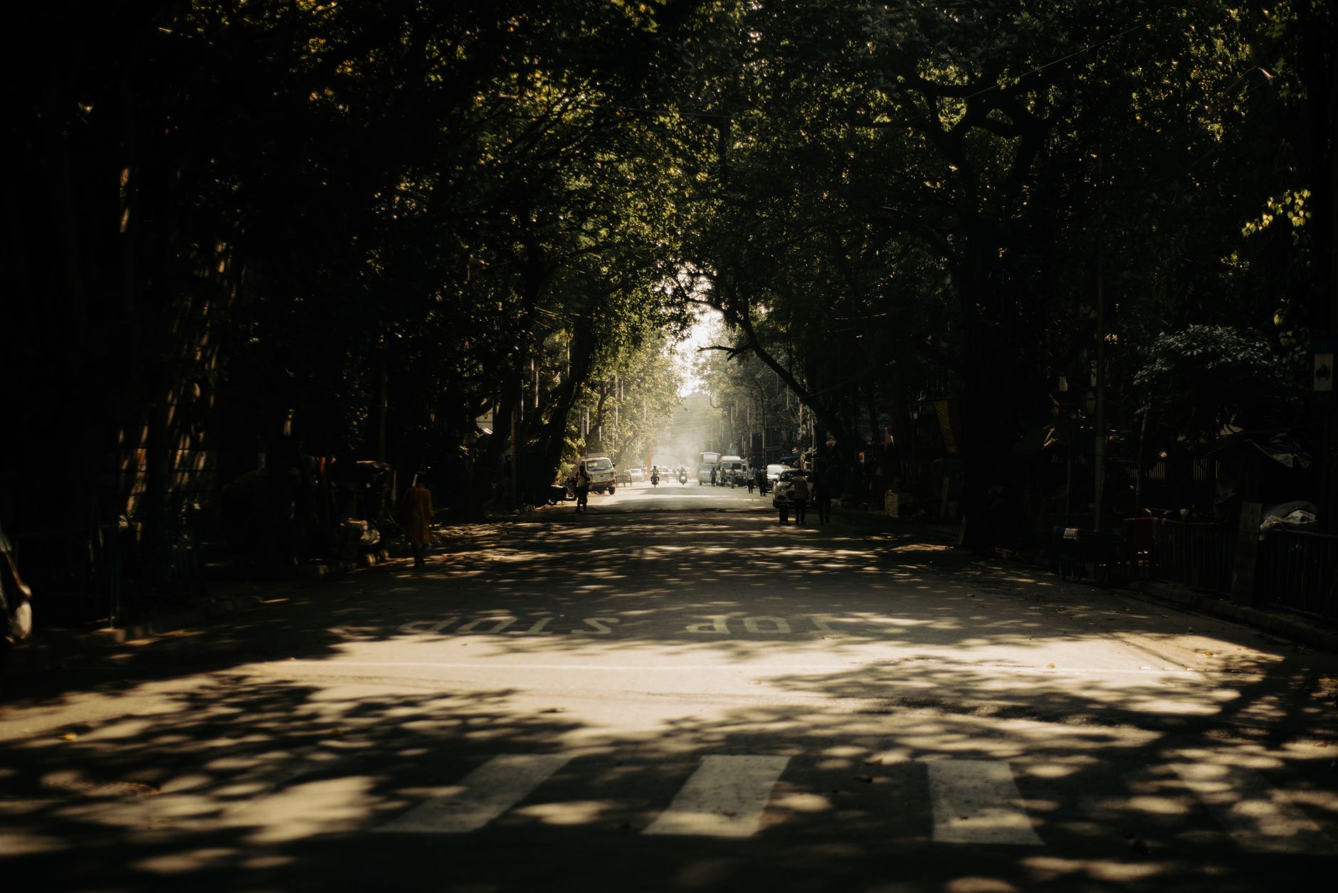 Pasadena Portfolios & the New California Housing Market Forecast Pasadena Portfolios & the New California Housing Market Forecast
