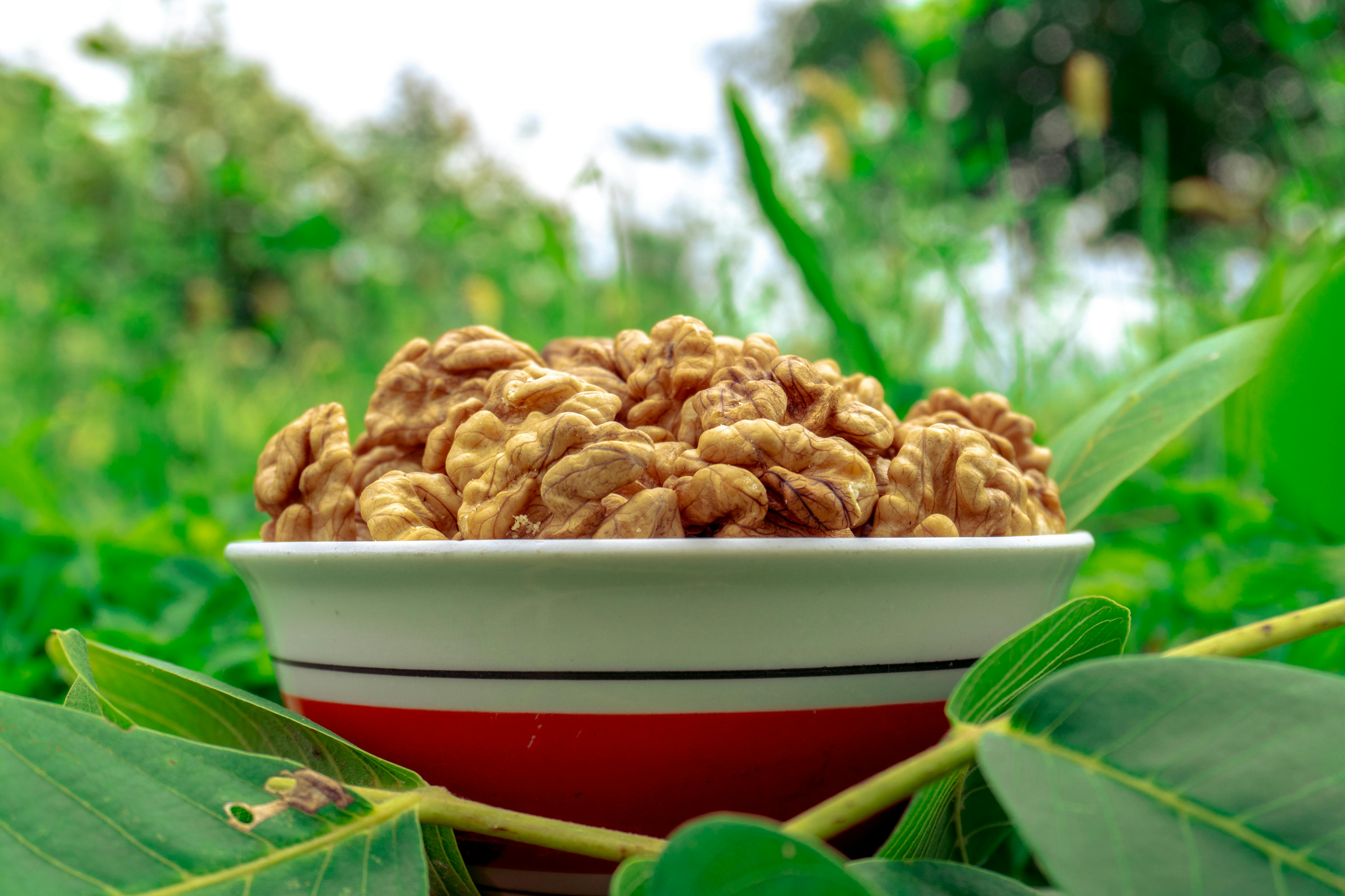 Building Sustainable Food Systems for a Healthier Future