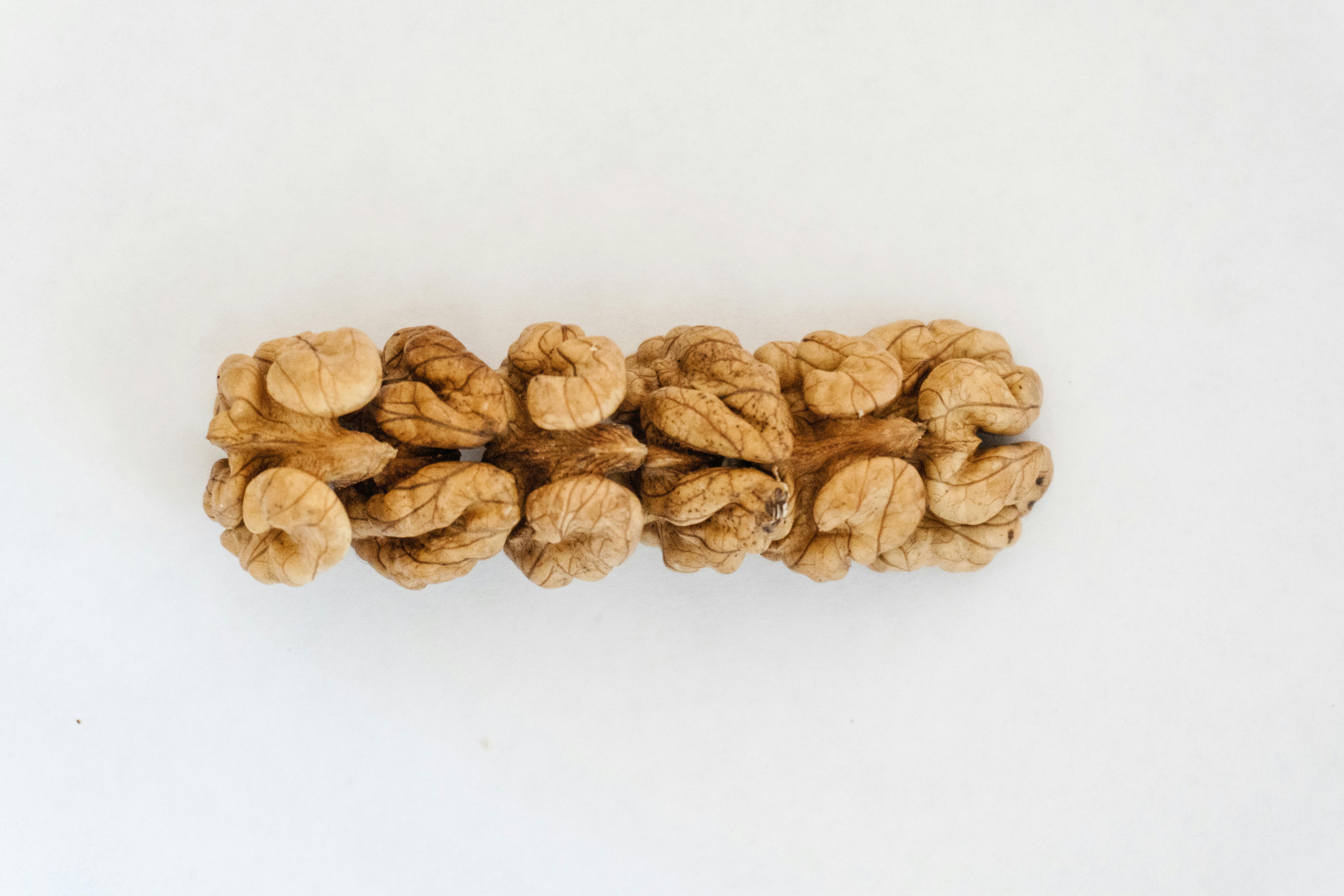 Close-Up of a Single Walnut on White Background