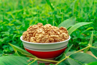 Walnuts and healthy ingredients on a kitchen table