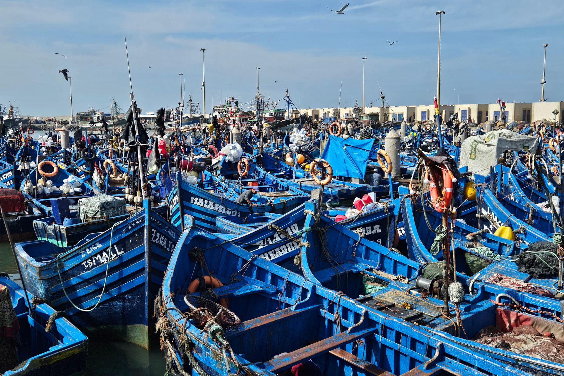 Essaouira Morocco immersive travel scene