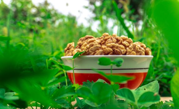 walnuts shell husk