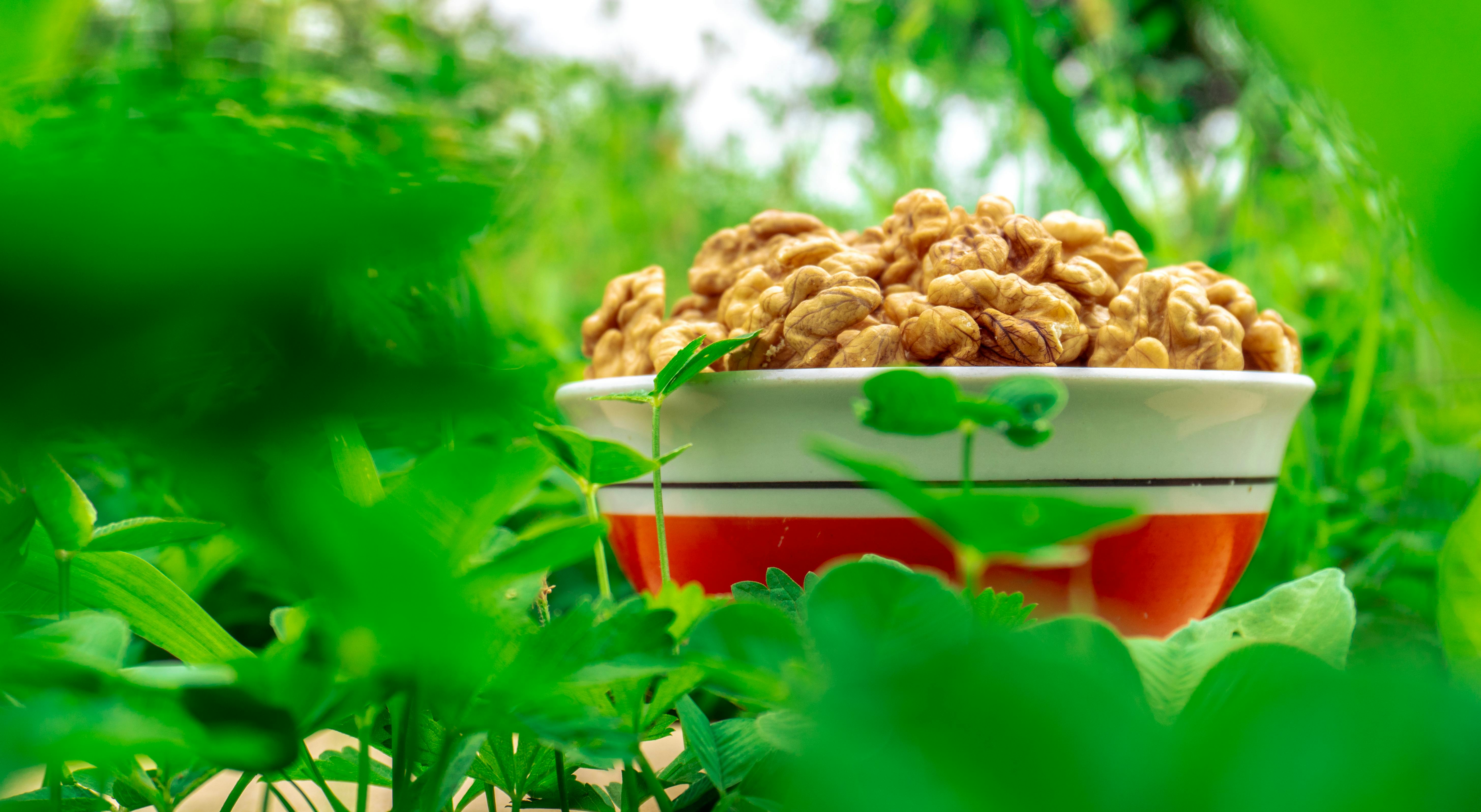 specialty diets — Photo by Zulfugar Karimov on Pexels