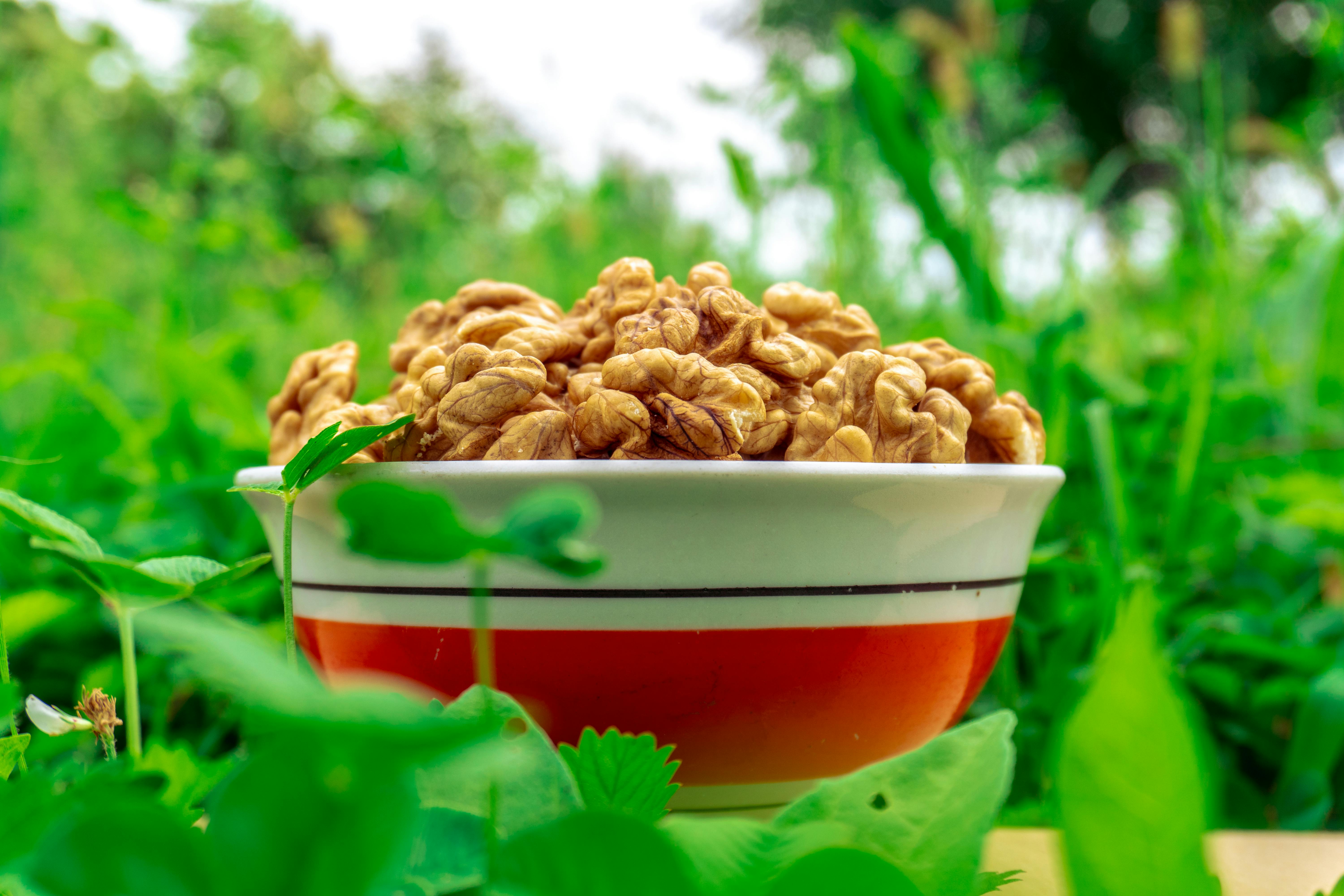 Hidden Dangers in Plant-Based Protein Powders: What You Need to Know