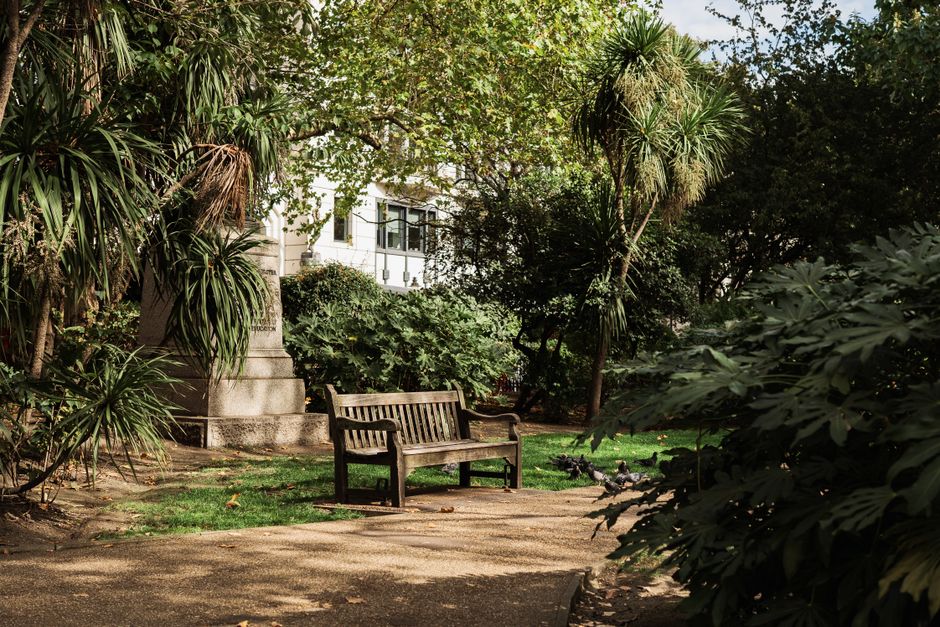 Serene park bench surrounded by lush greenery in a London garden.