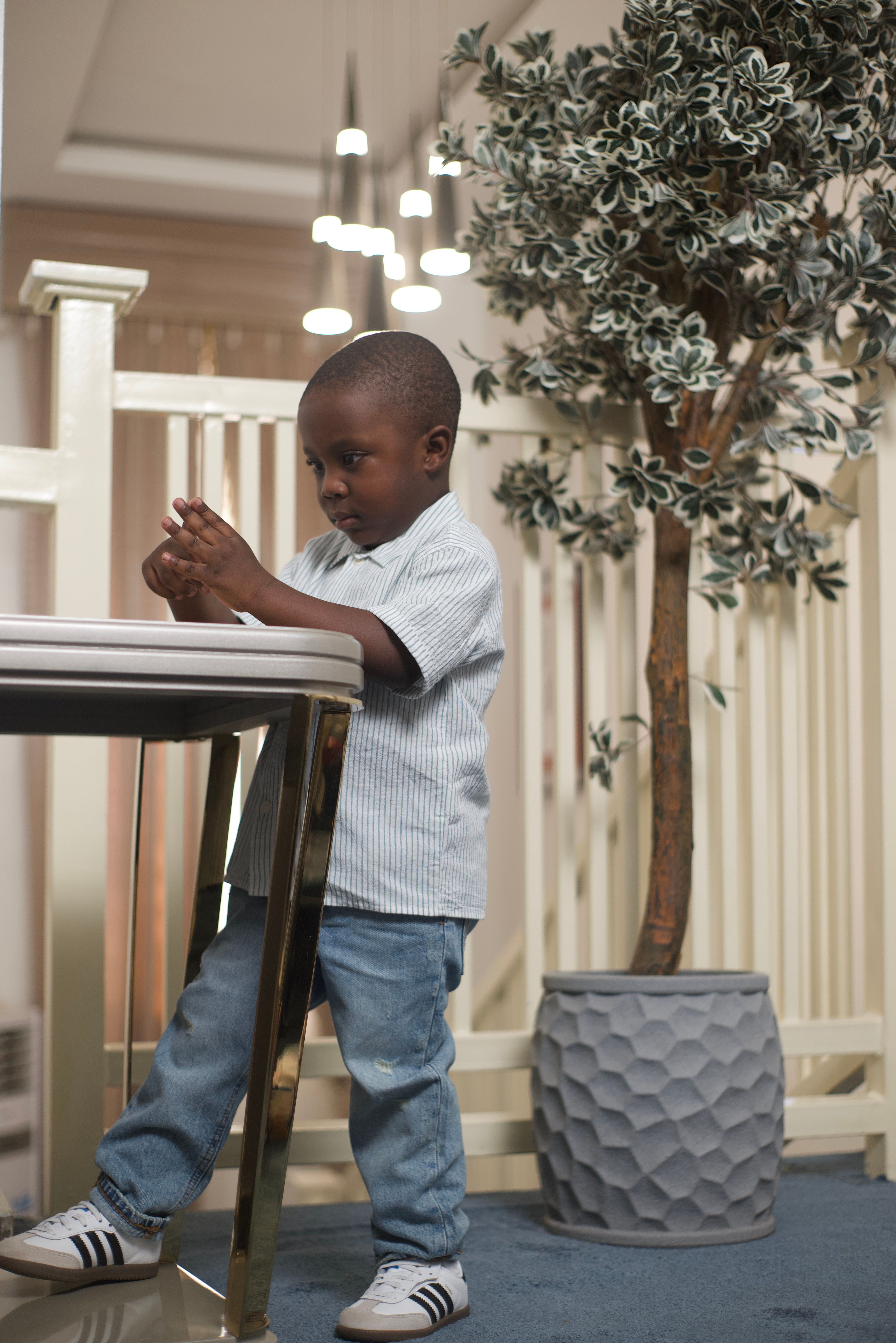 Portrait of a young boy in a stylish indoor setting with modern decor and natural elements.