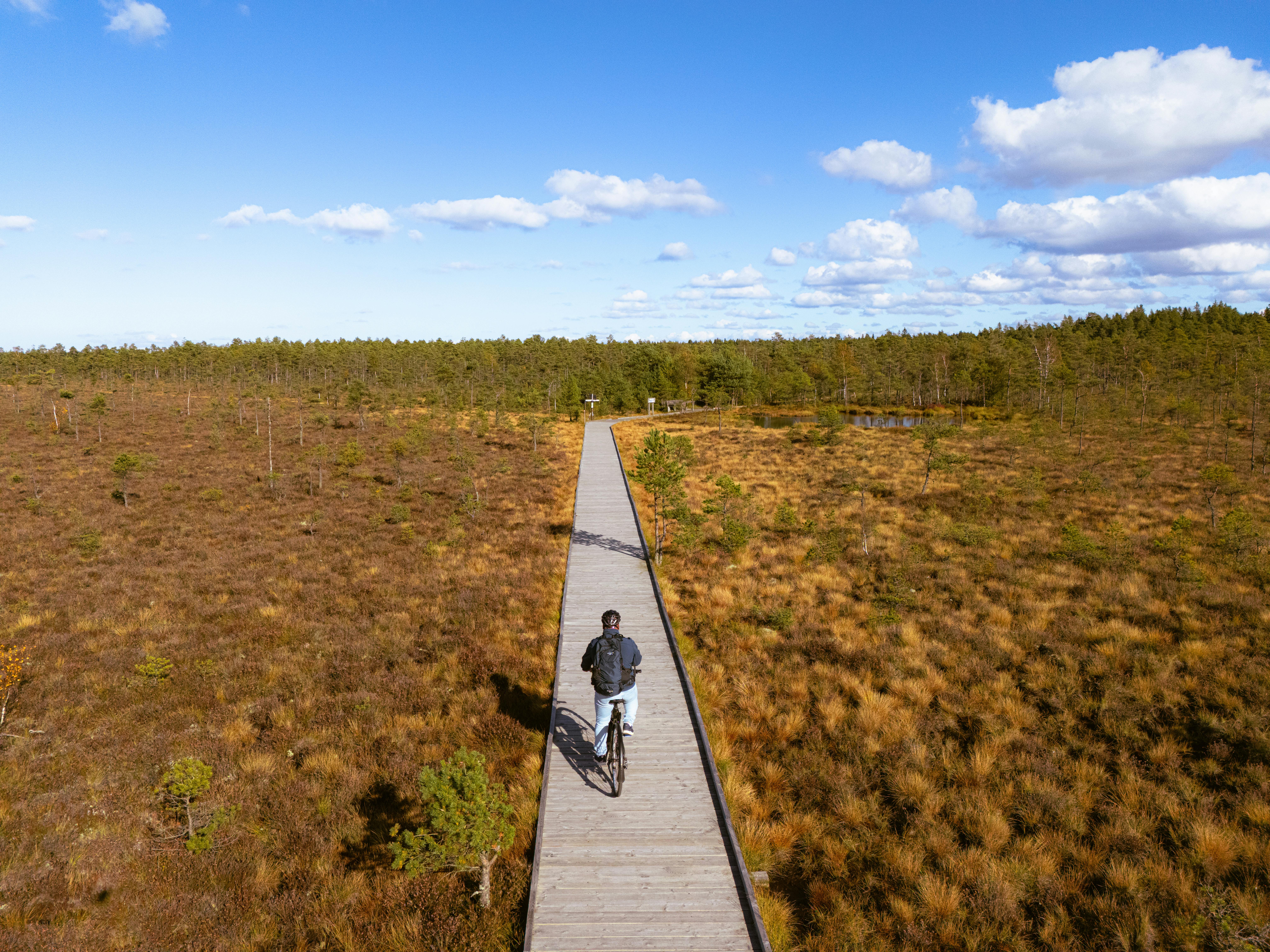보일러 교체 비용 2025
