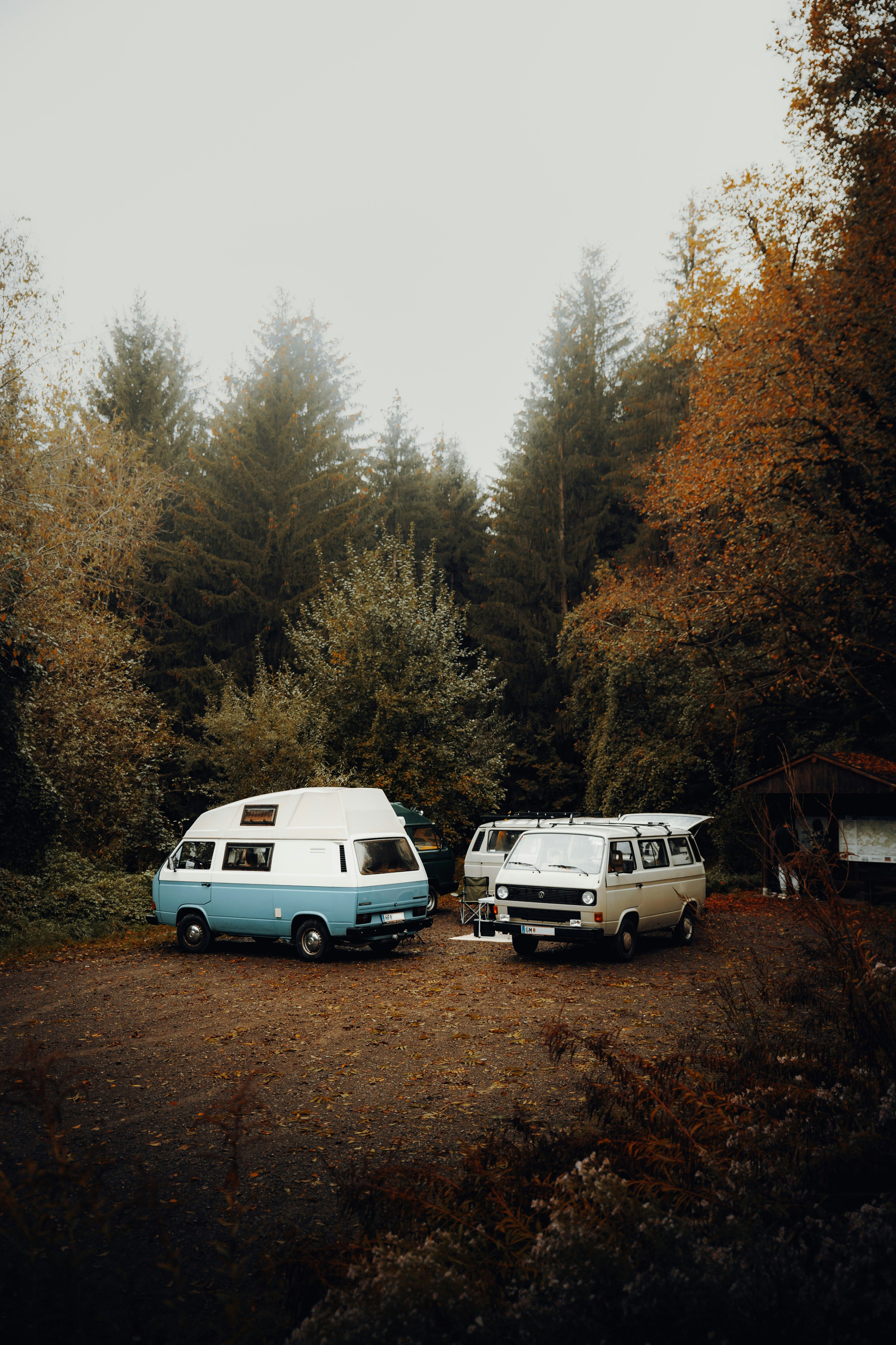 Vintage vans parked amidst autumn trees in an Austrian forest, embracing the vanlife lifestyle.