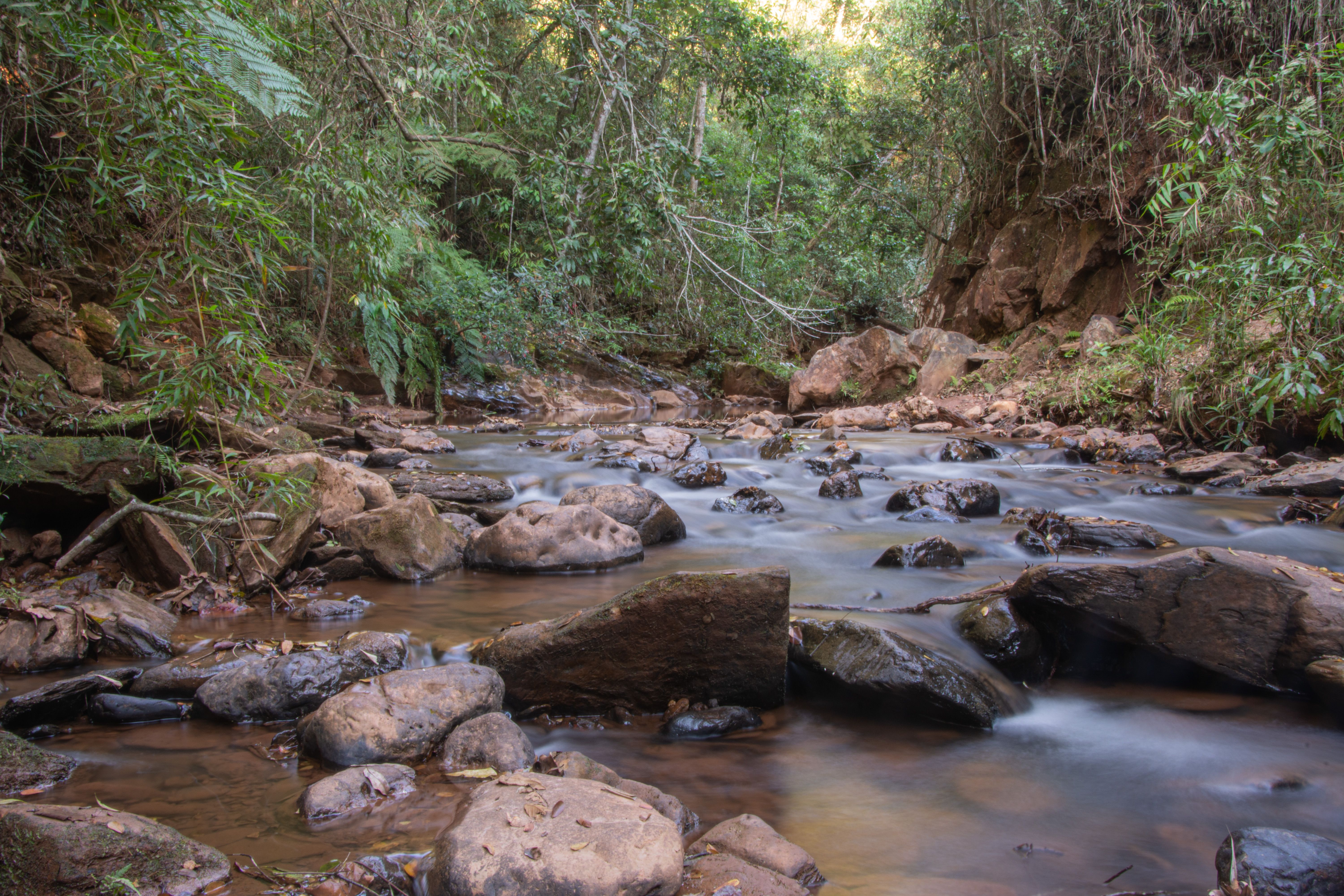 Ultimate Guided Expedition with Canoeing and Waterfalls in Iguaçu Review 2026 - Peaceful flowing stream surrounded by lush greenery in Minas Gerais, Brazil. Ideal for nature lovers.