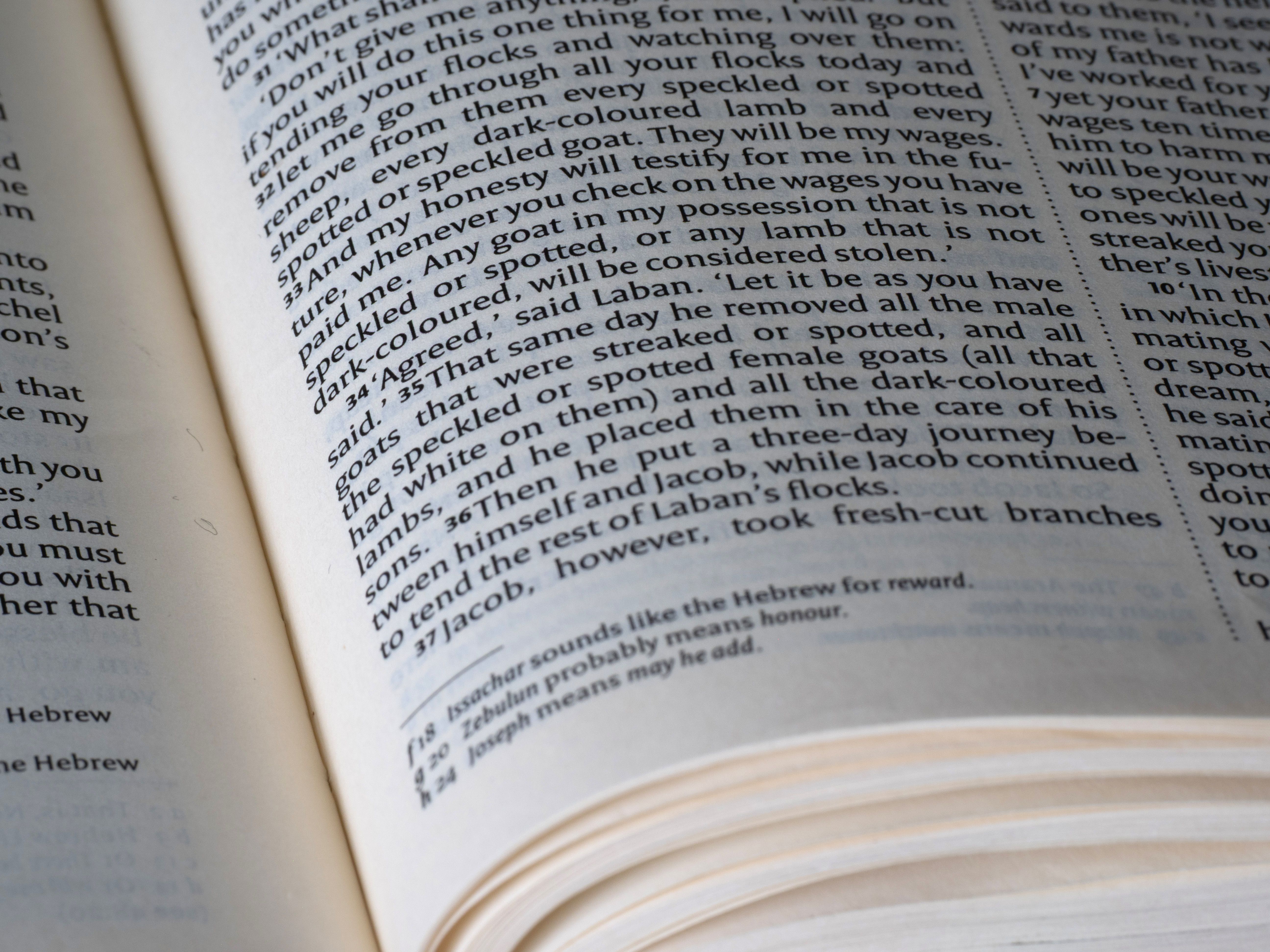 Open Bible Page Showing Text from Genesis · Free Stock Photo