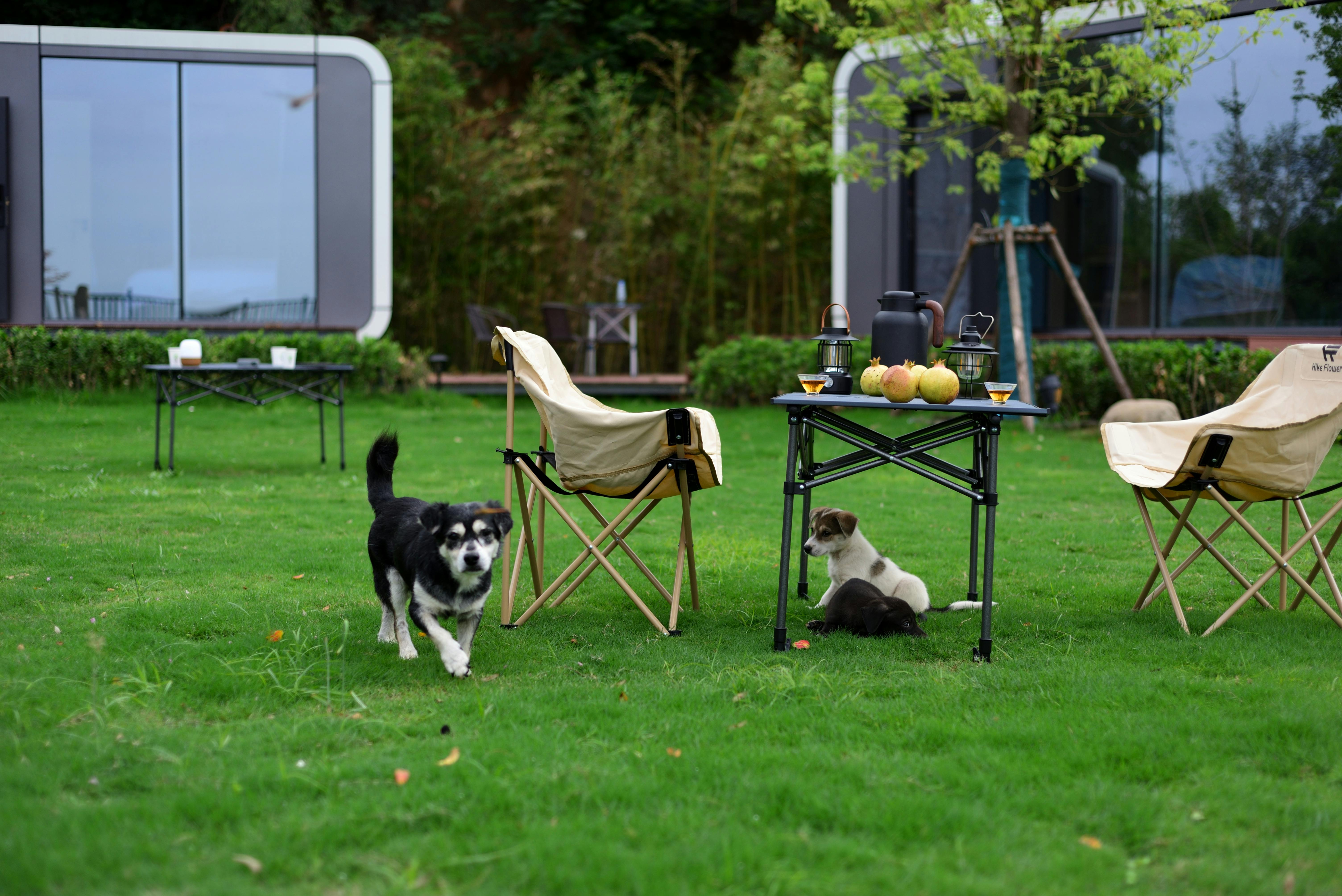 Mindfulness Techniques for Enjoying Bungalow Living