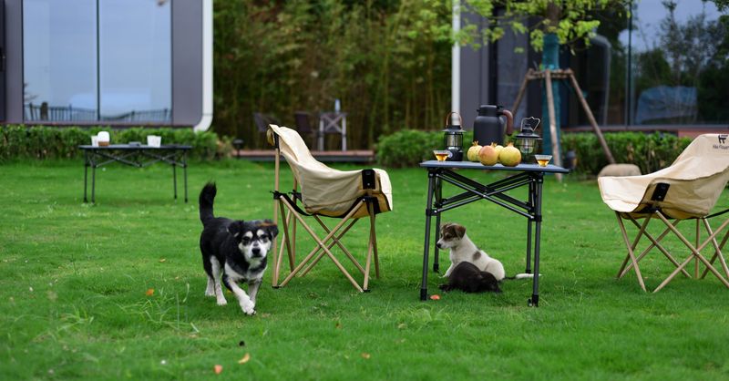 Housse pour salon de jardin Castorama : protection efficace contre les intempéries