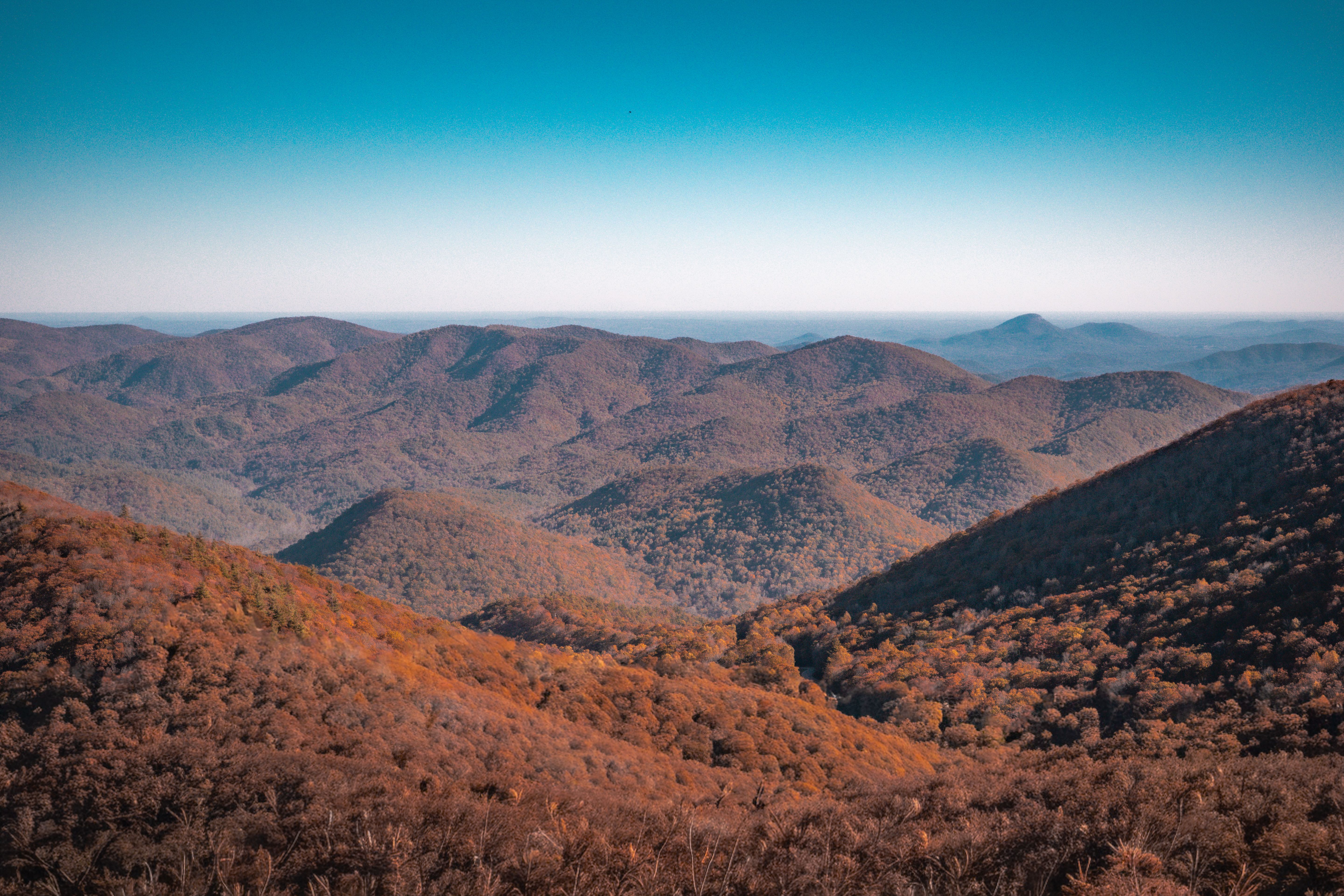 Majestic Mountain View with Autumn Foliage · Free Stock Photo