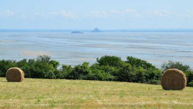 Champeaux-sur-Sarthe