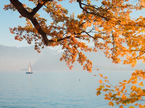 Tranquil autumn day with a sailboat on Lake Traunsee framed by vibrant fall foliage.