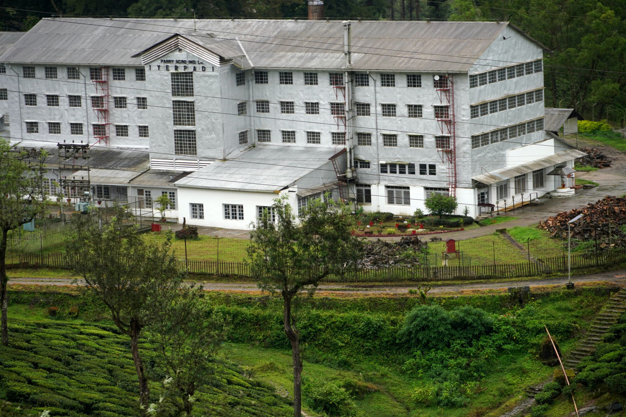 Lockhart Tea Factory
