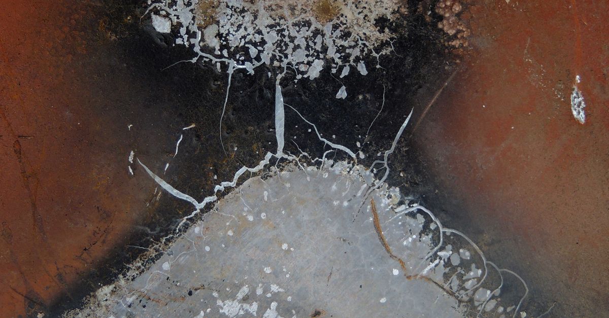 Abstract Rust and Mold Textures on Metal Surface · Free Stock Photo