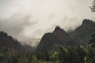 山景雾蒙蒙，绿植郁郁葱葱，雾气氤氲，尽显自然主题的静谧与完美