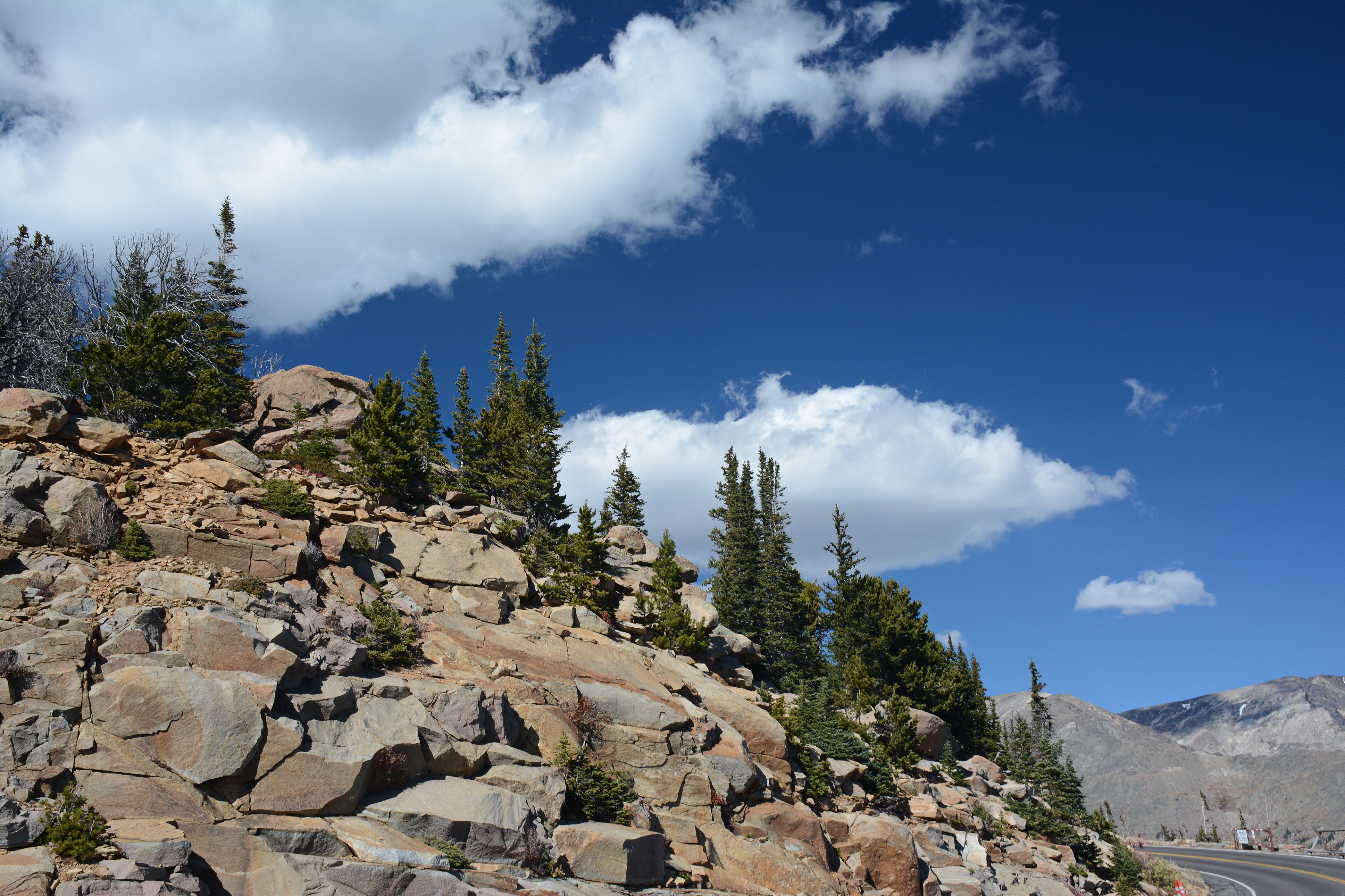 Rocky Mountain Landscape with Pine Trees and Blue Sky · Free Stock Photo