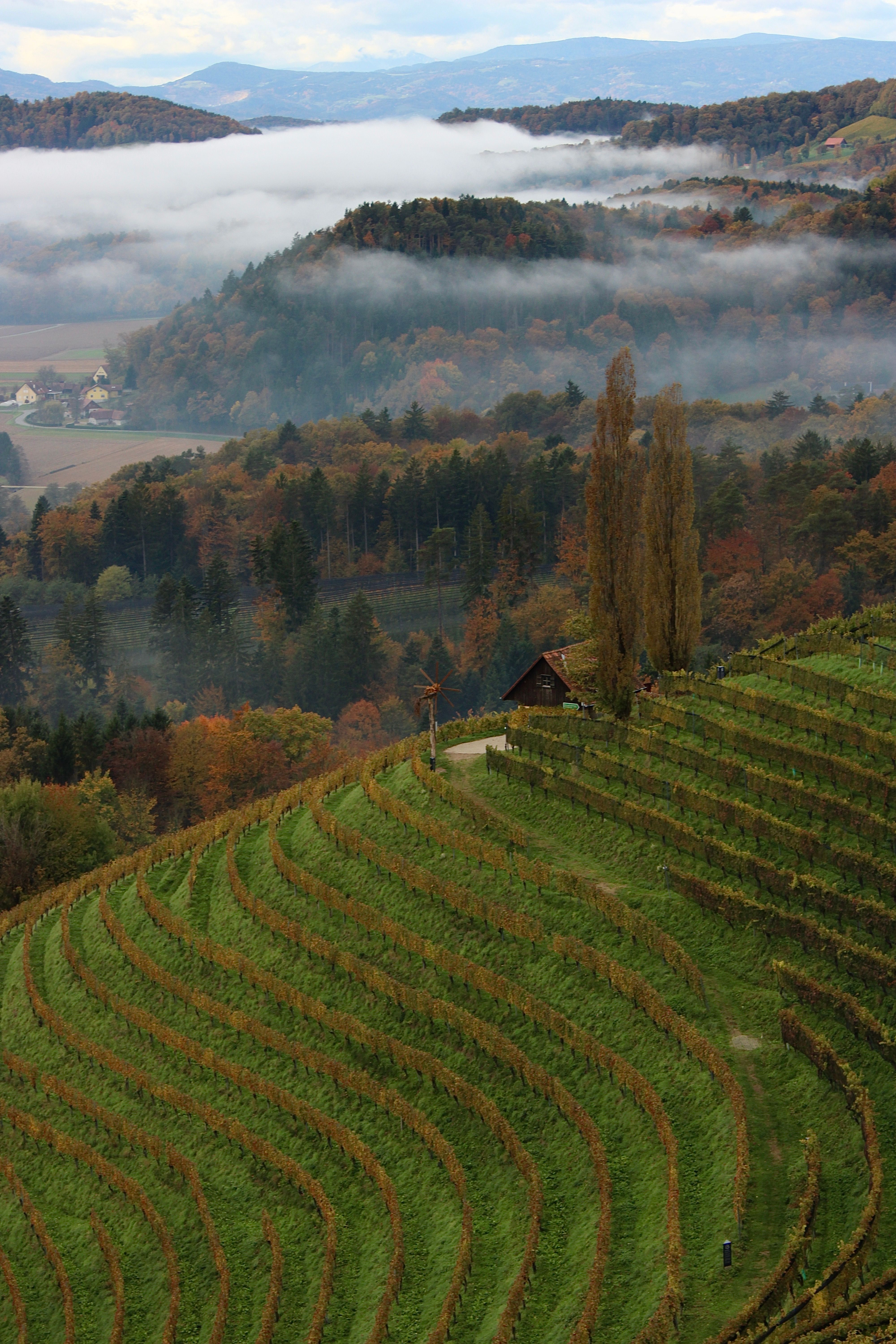 Pic Saint-Loup hors saison : guide d’automne 2026 pour photographes et randonneurs qui fuient la chaleur et la foule 