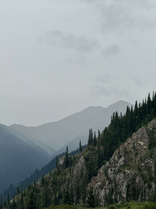 Free Serene misty mountain range with dense evergreen forest Stock Photo