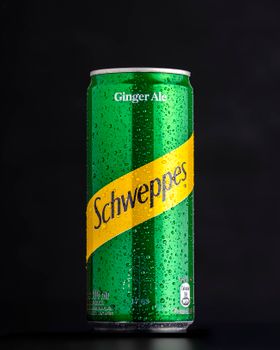 7.5 Oz Can Ginger Ale