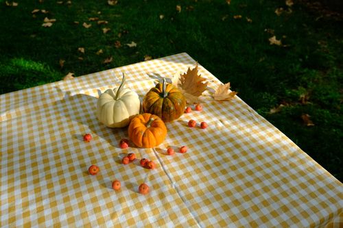 Free Charming autumn scene featuring pumpkins and leaves on a checkered tablecloth outdoors. Stock Photo