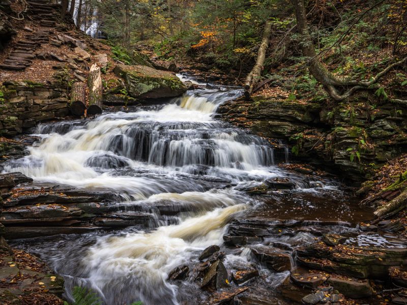 A waterfall cascading through an autumn forest